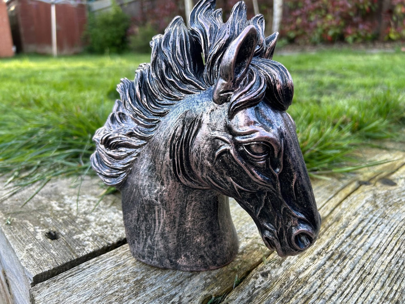 Stallion Heads - Backyard Bliss