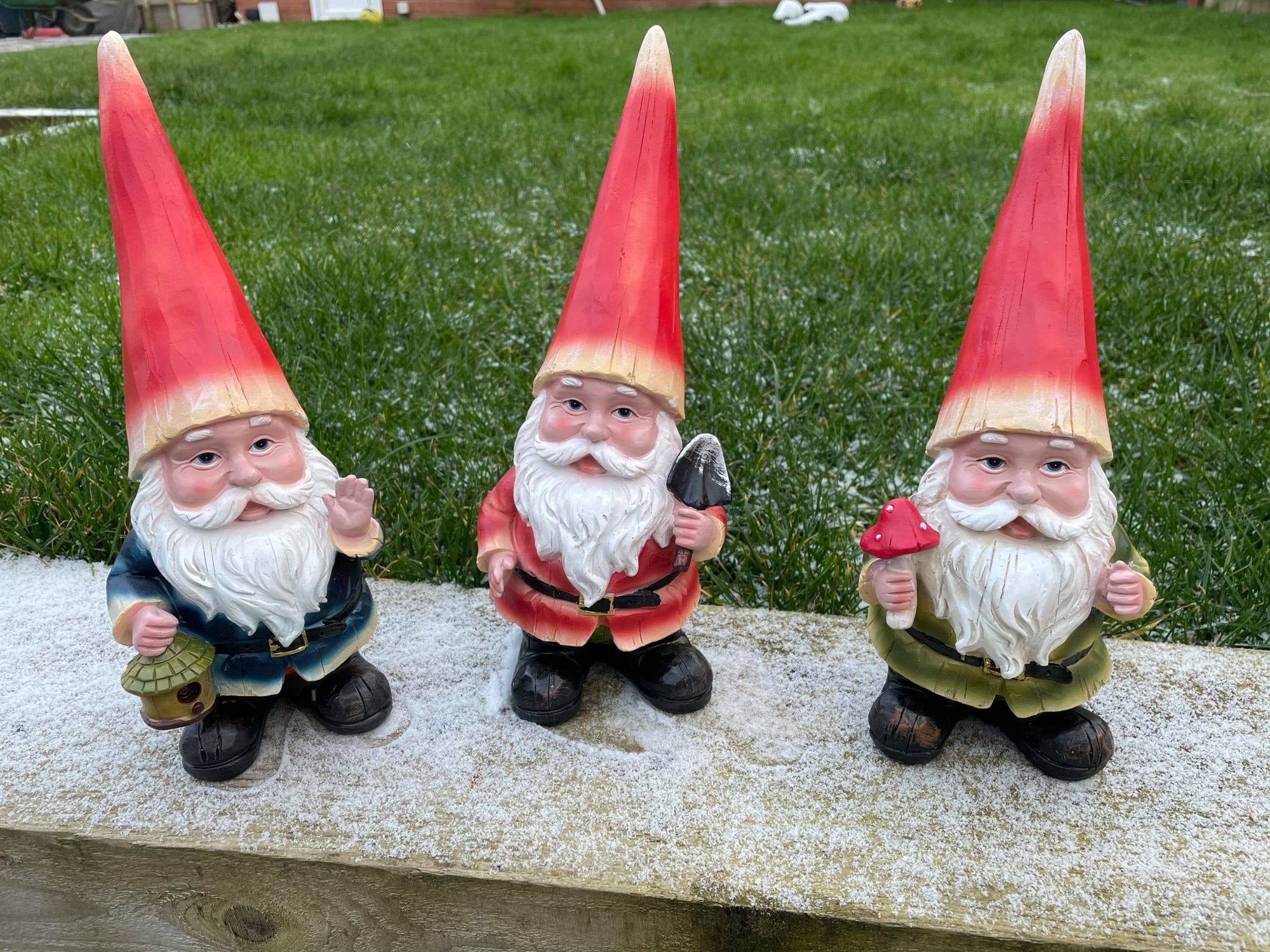 Three Cheeky Gnomes - Backyard Bliss
