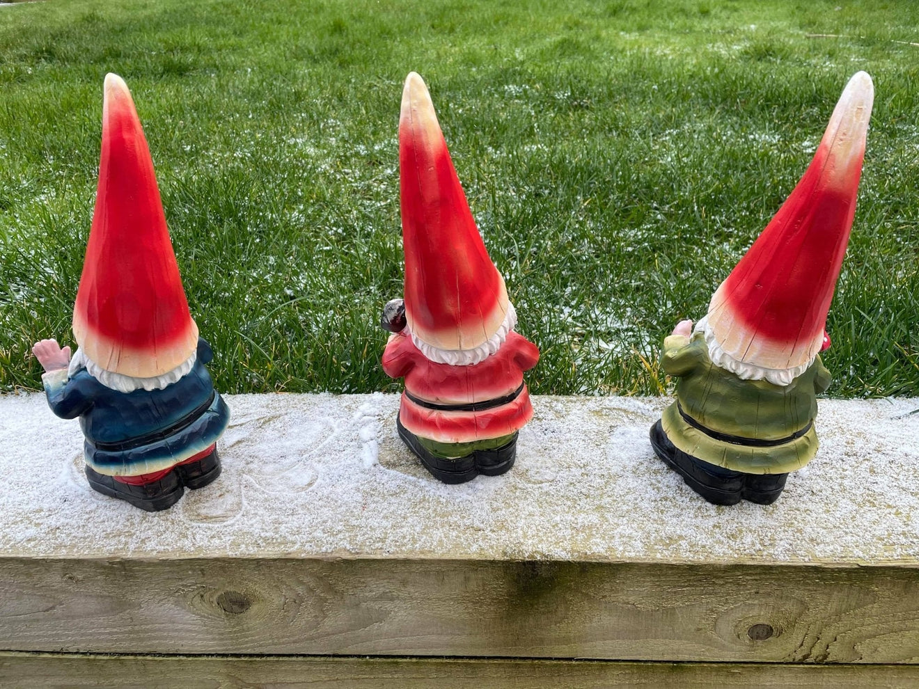 Three Cheeky Gnomes - Backyard Bliss