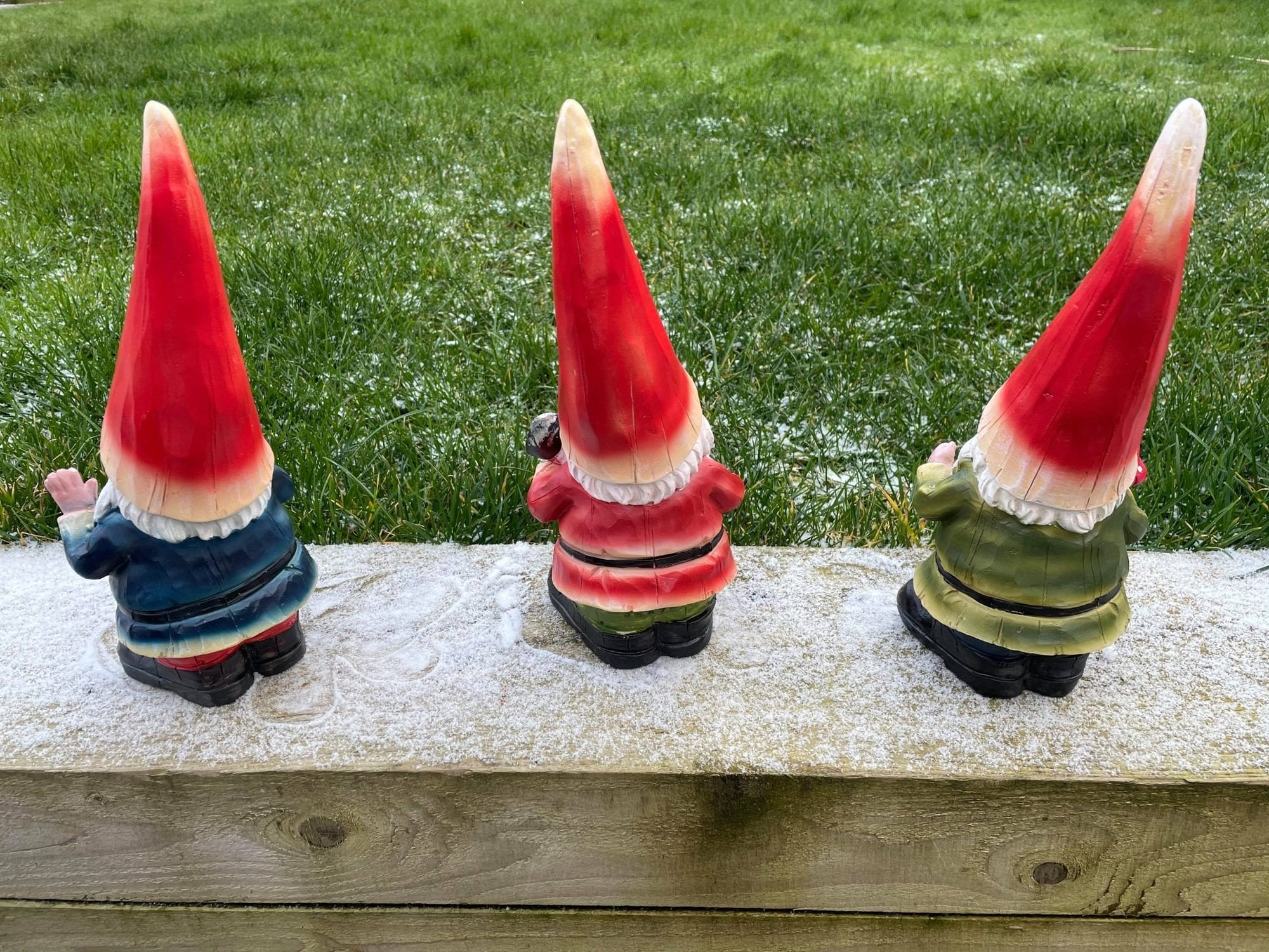 Three Cheeky Gnomes - Backyard Bliss