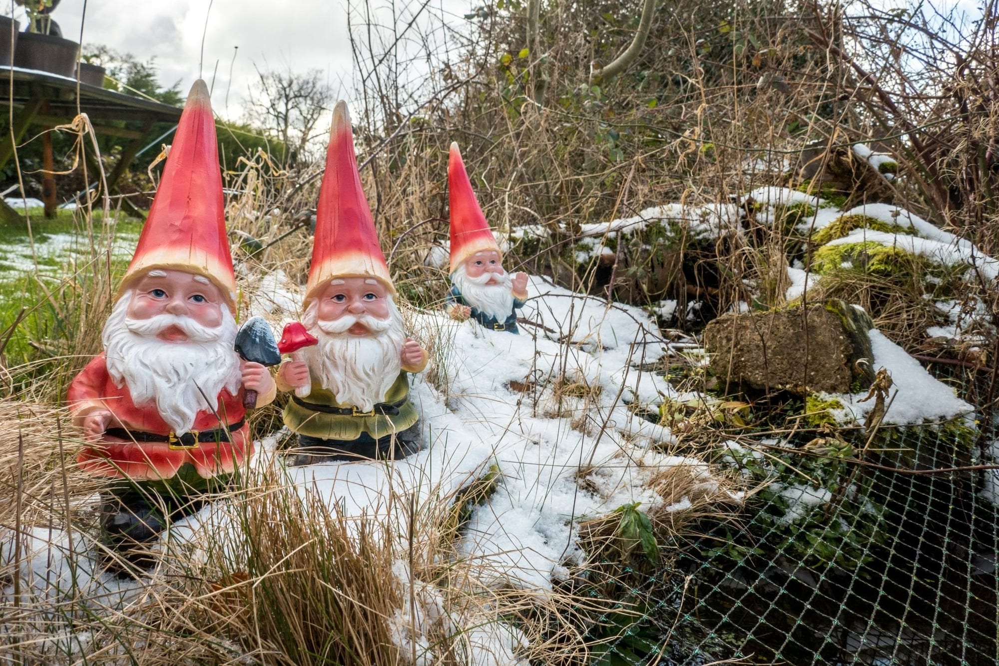 Three Cheeky Gnomes - Backyard Bliss