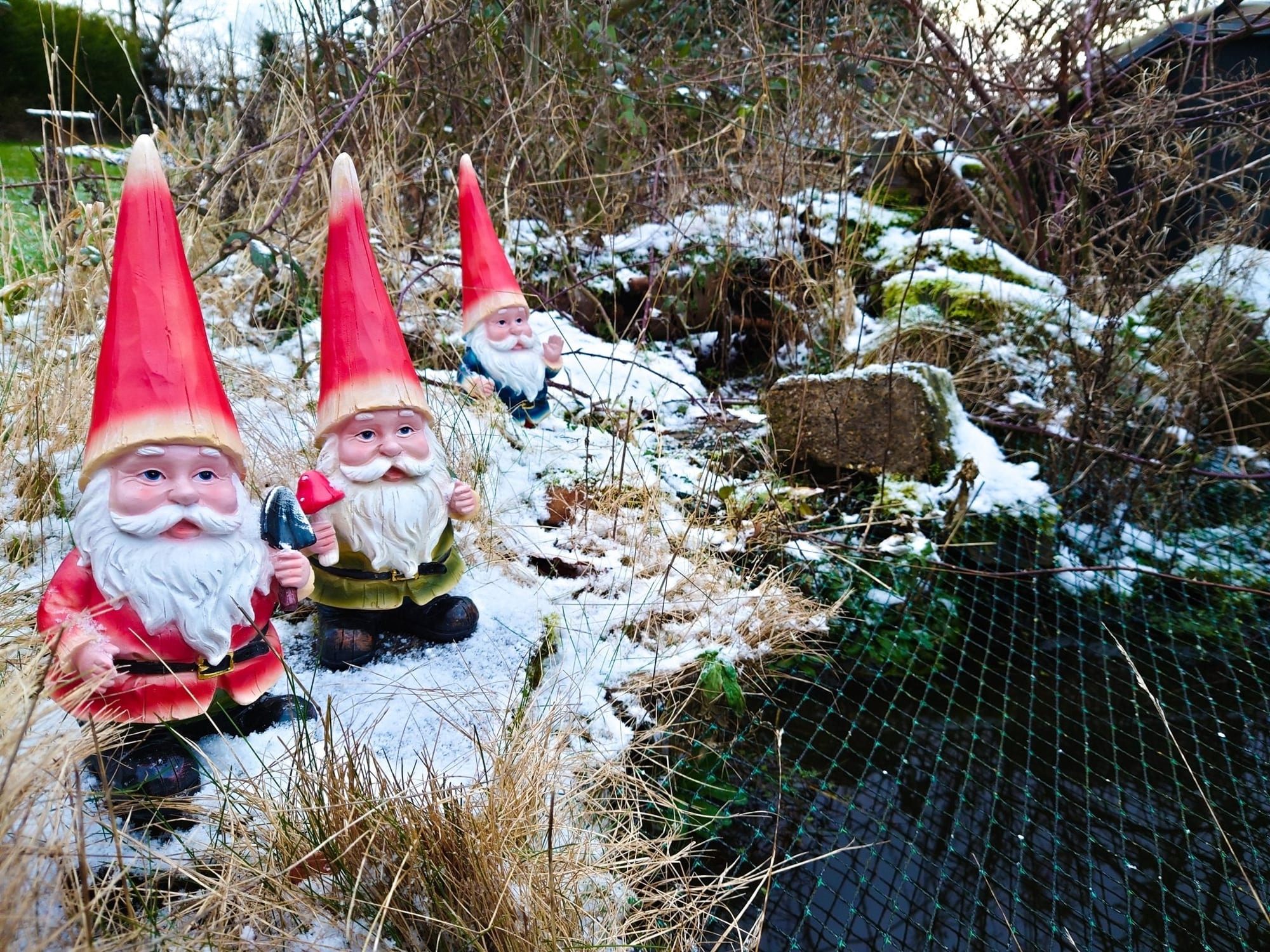 Three Cheeky Gnomes - Backyard Bliss