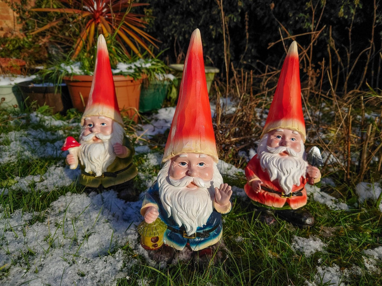 Three Cheeky Gnomes - Backyard Bliss