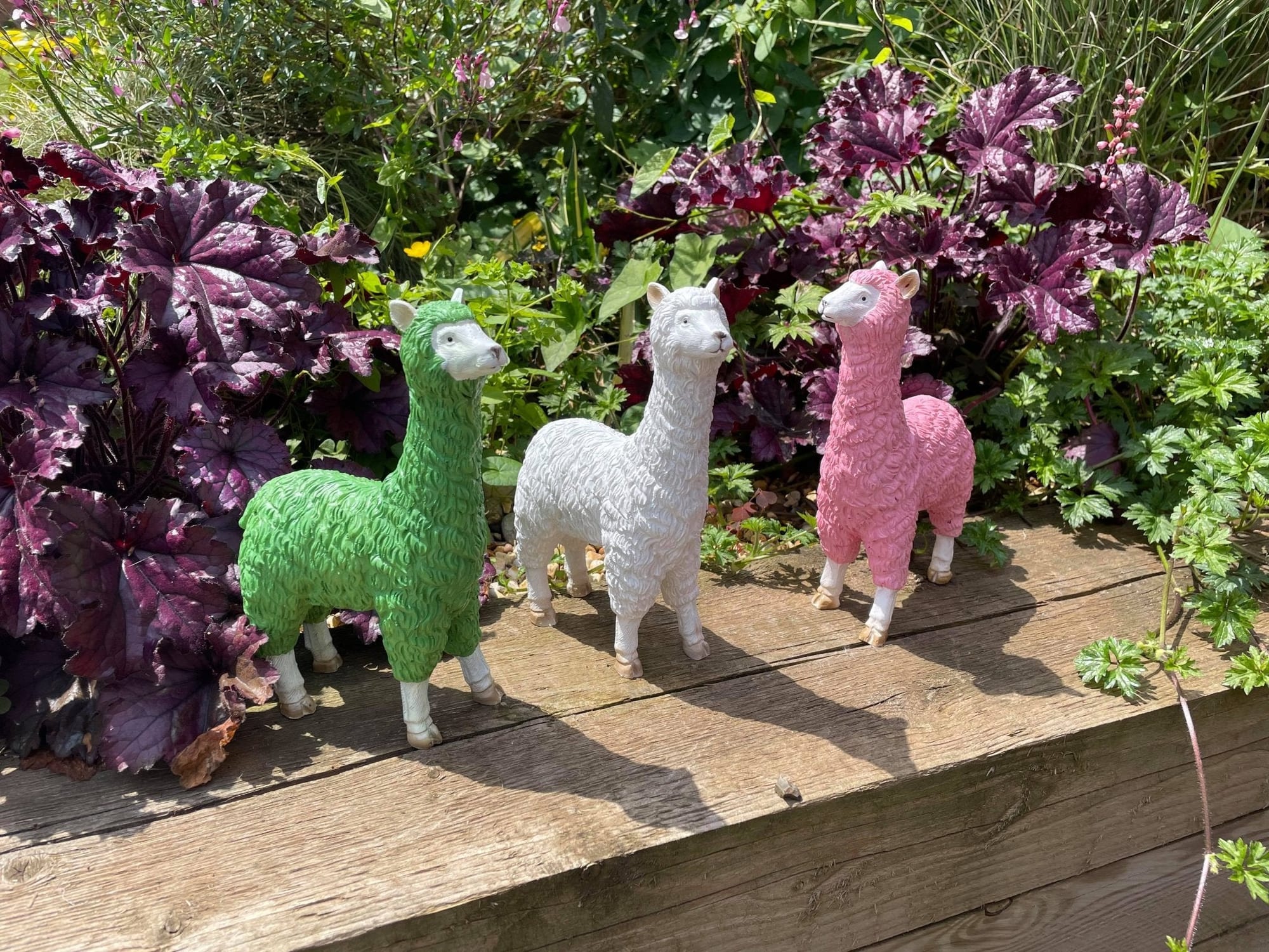 Three Funky Llamas - Backyard Bliss