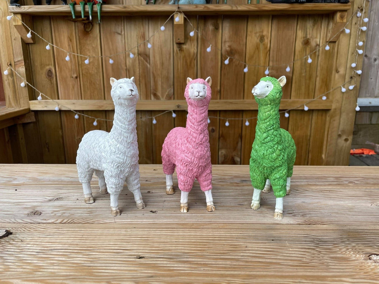 Three Funky Llamas - Backyard Bliss