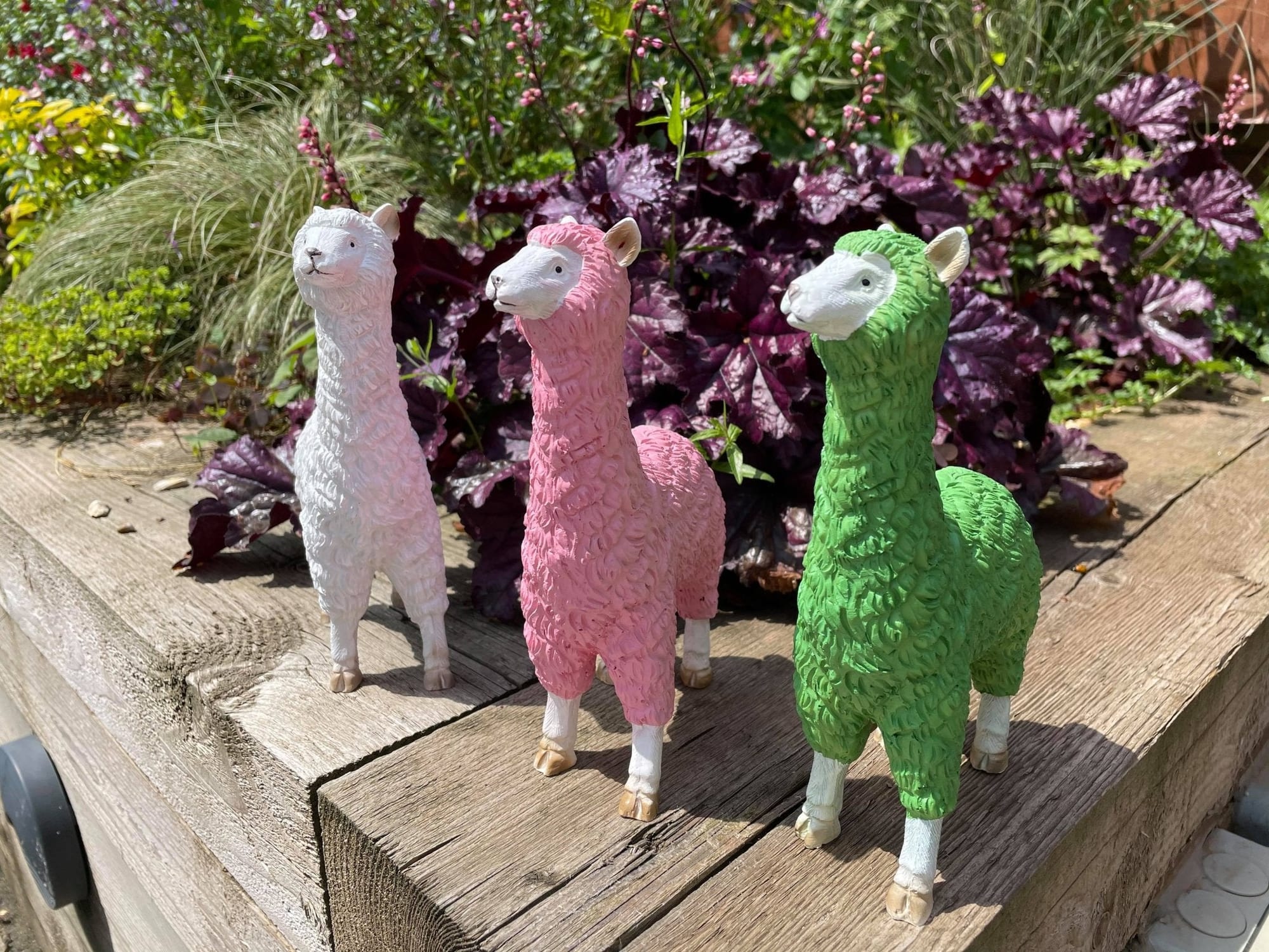 Three Funky Llamas - Backyard Bliss