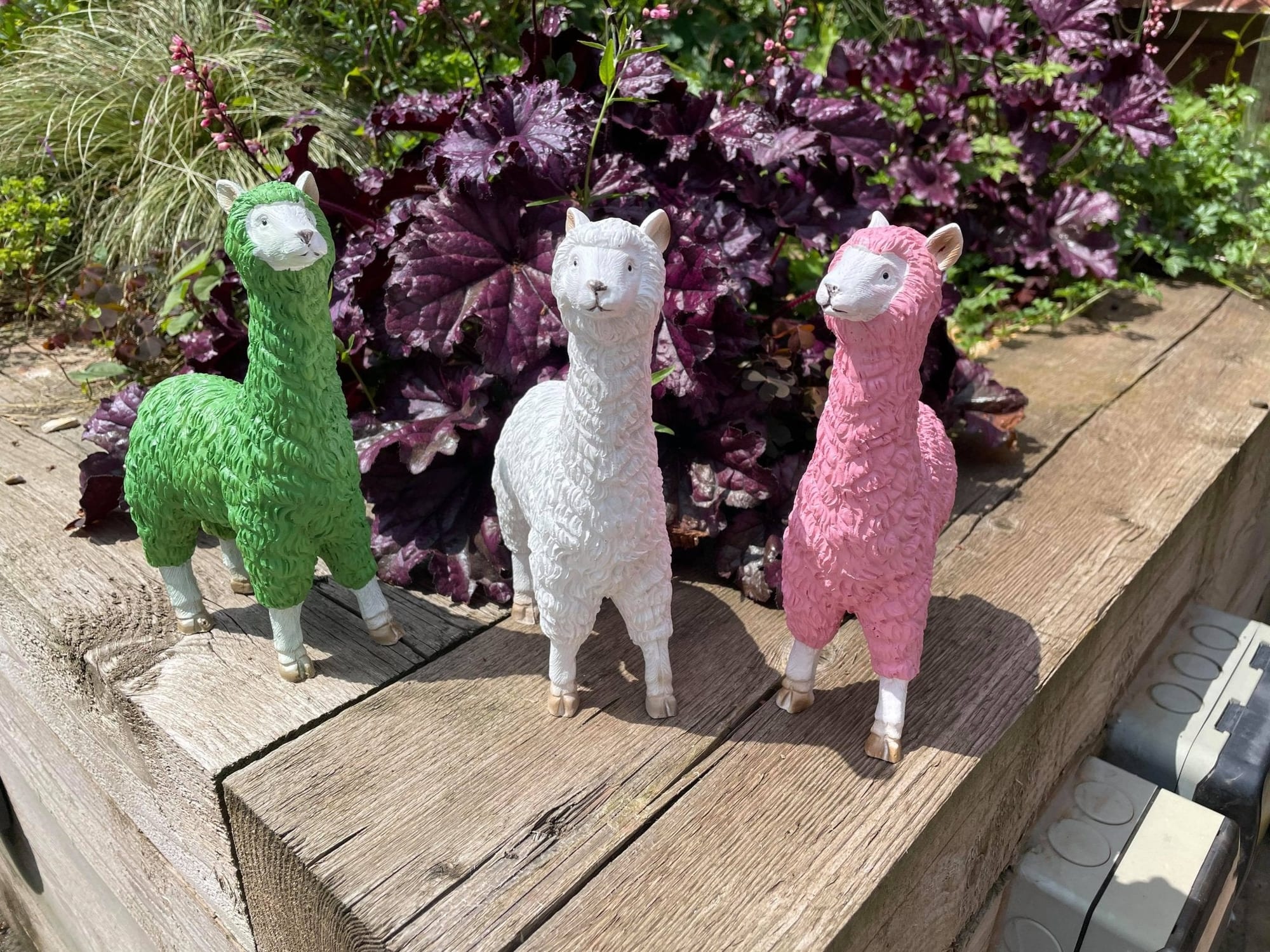 Three Funky Llamas - Backyard Bliss
