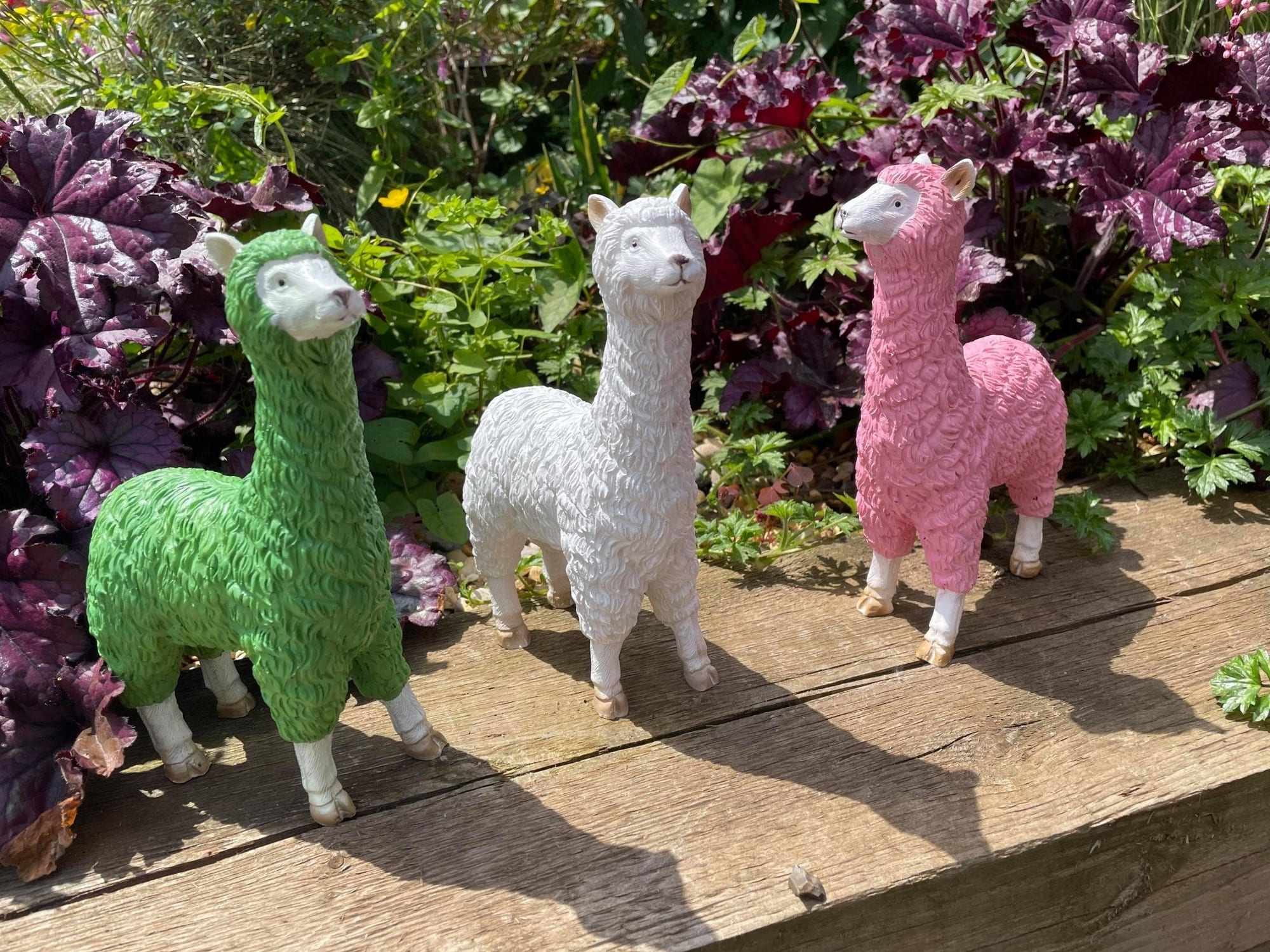 Three Funky Llamas - Backyard Bliss