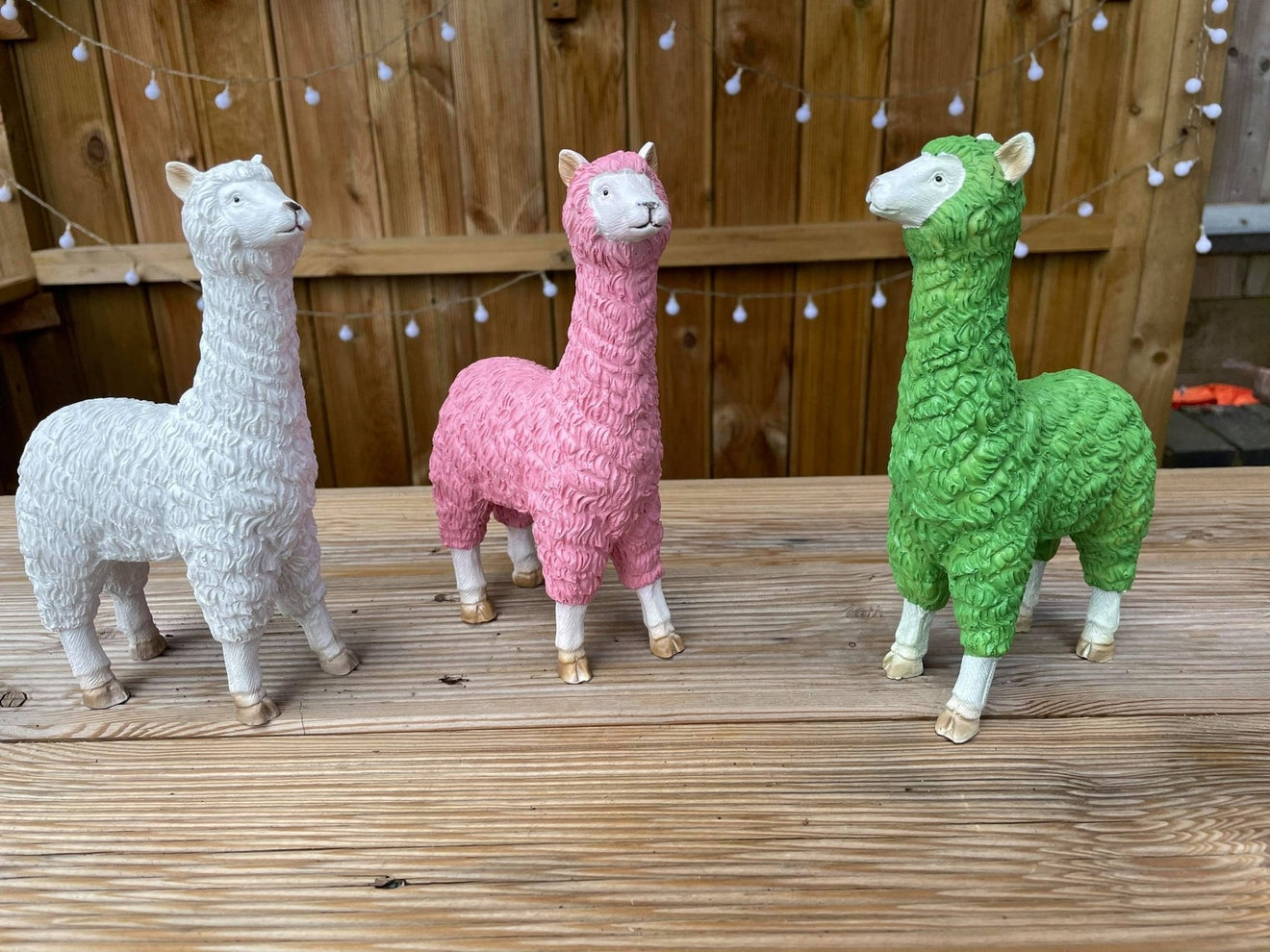 Three Funky Llamas - Backyard Bliss