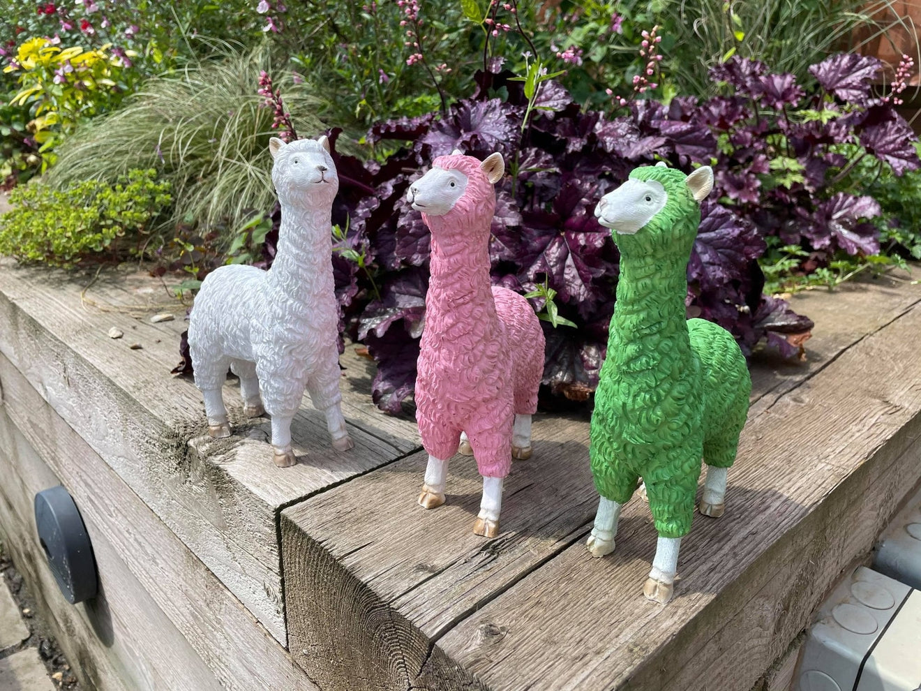 Three Funky Llamas - Backyard Bliss