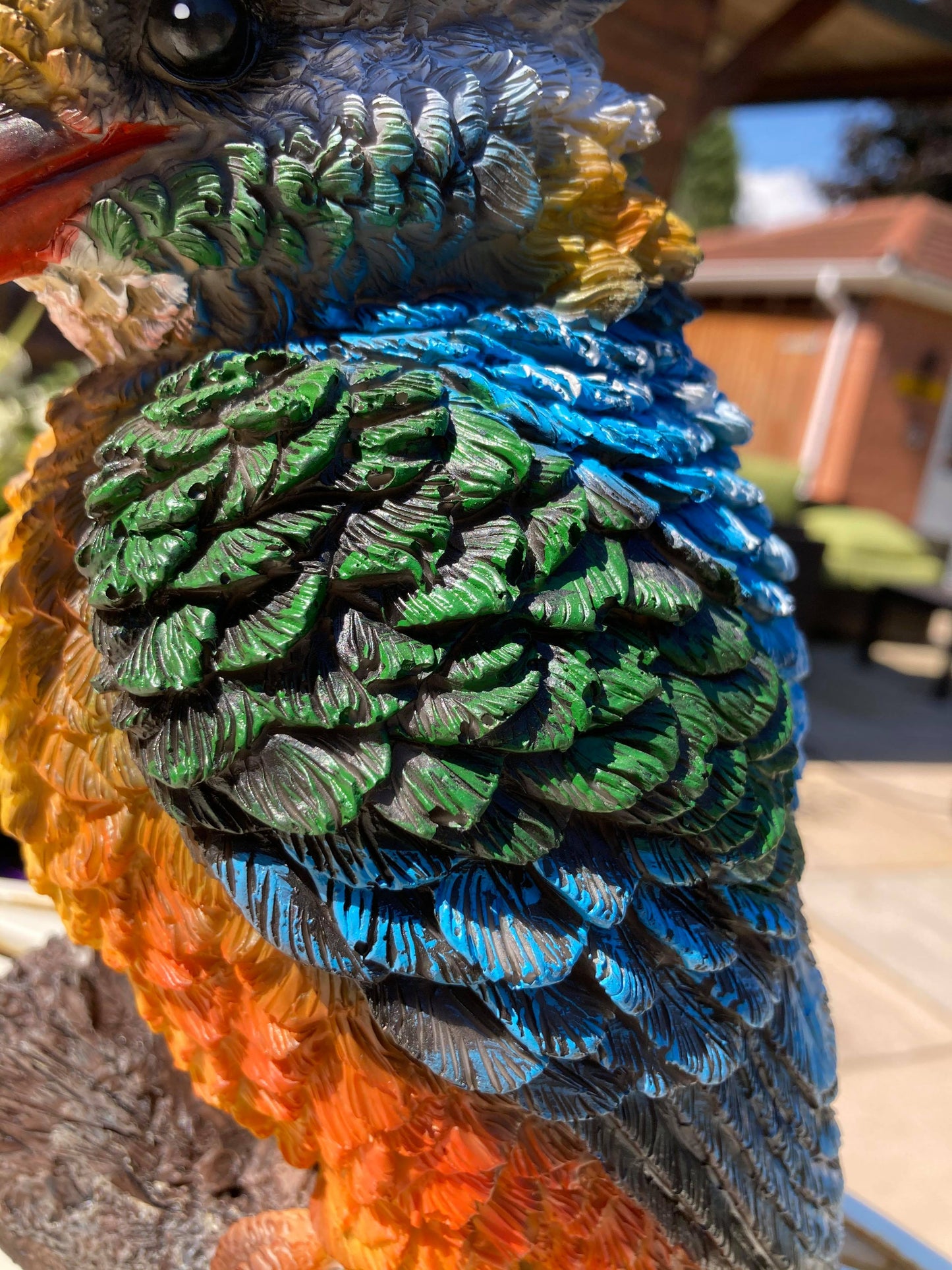 Colourful Kingfisher