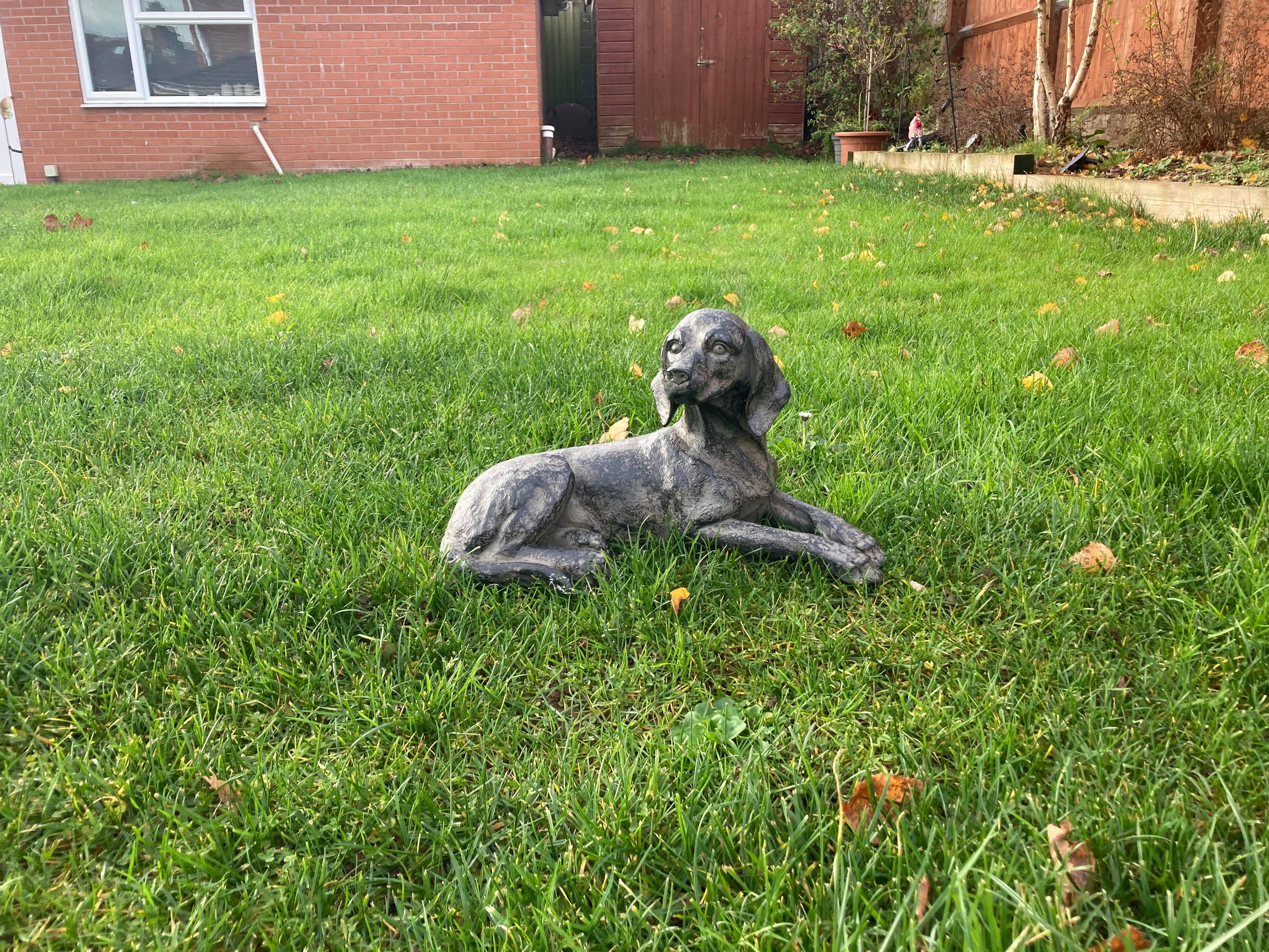 Resting Spaniel