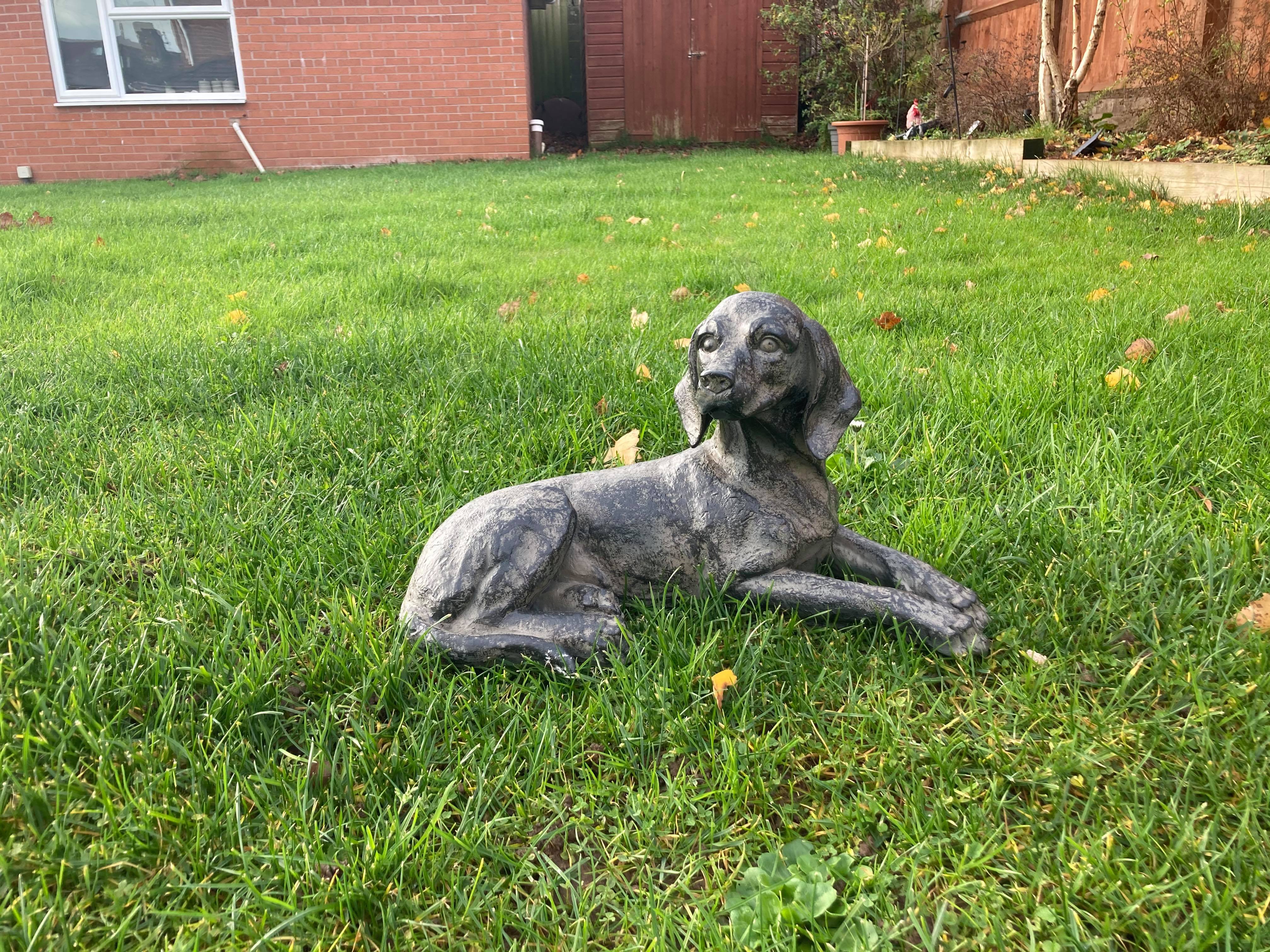 Resting Spaniel