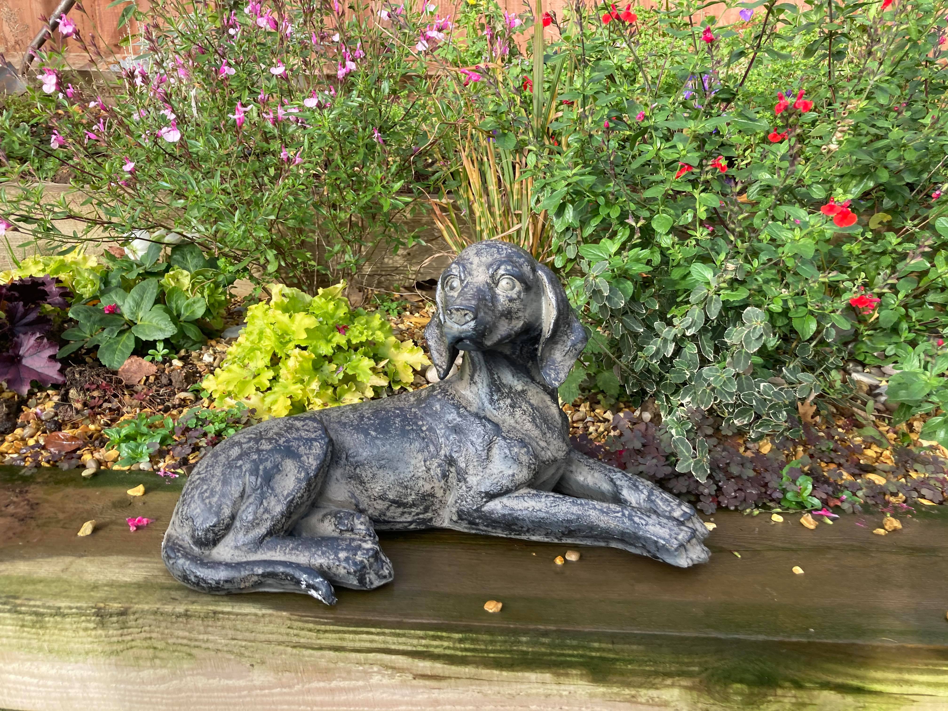 Resting Spaniel