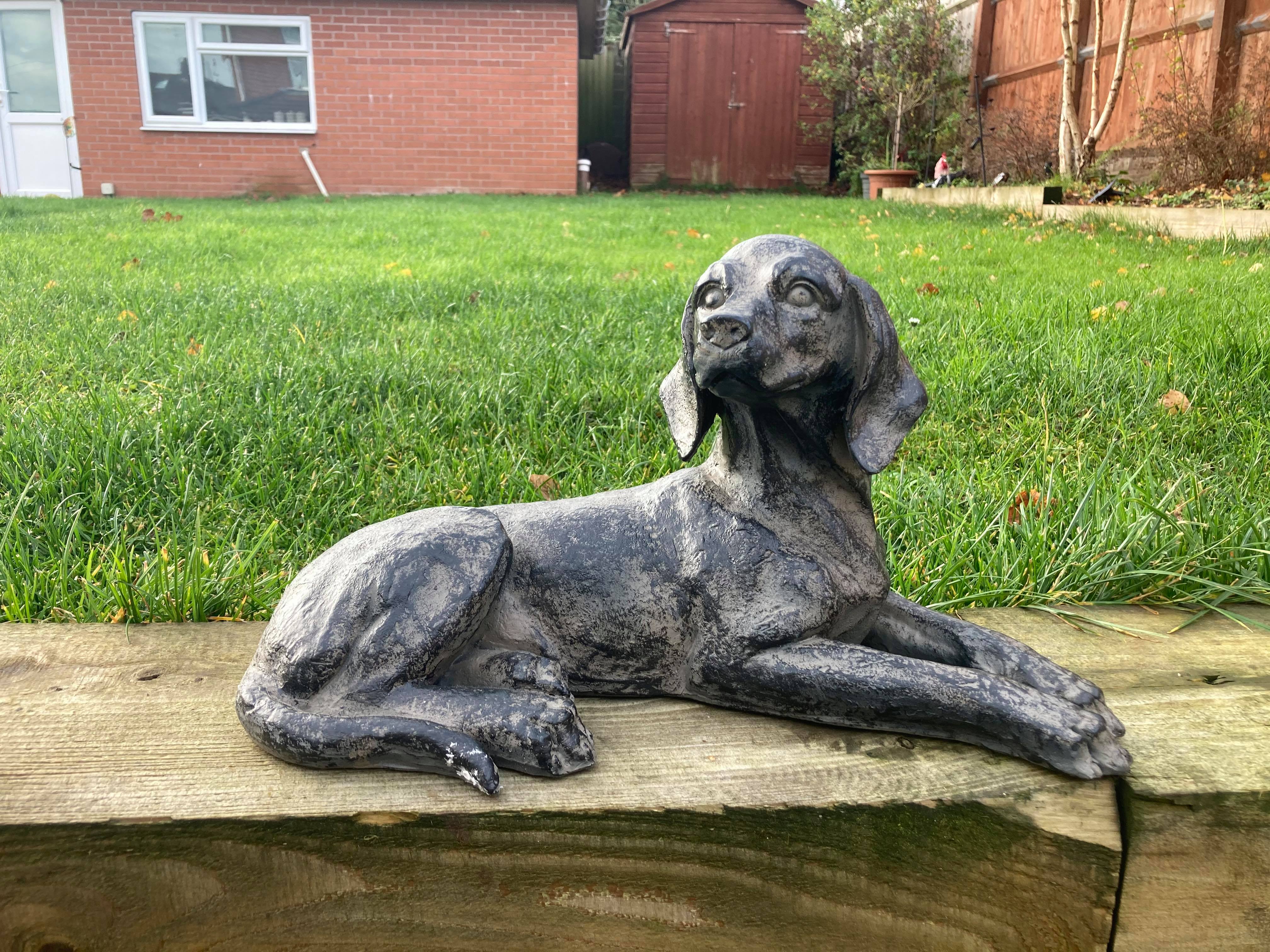 Resting Spaniel