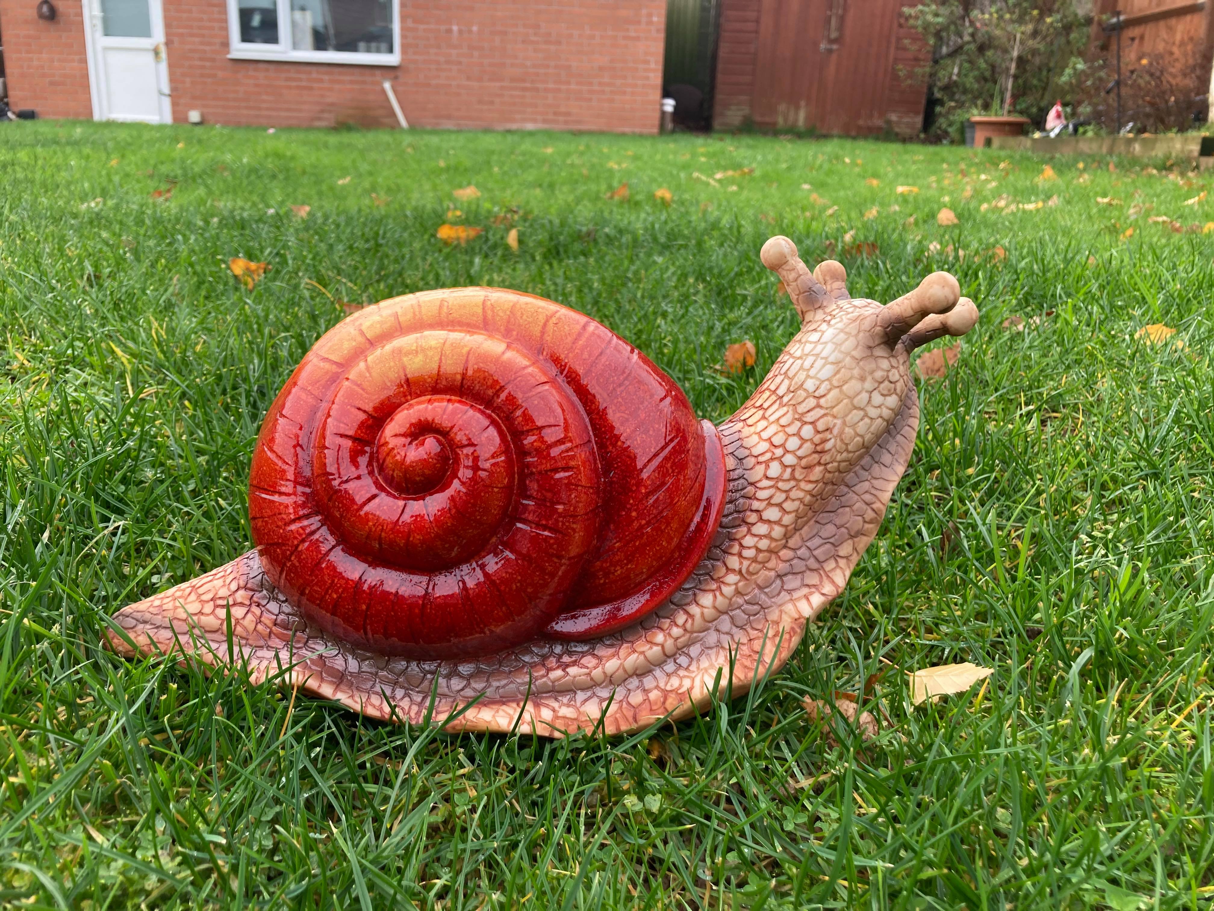 Giant Snail