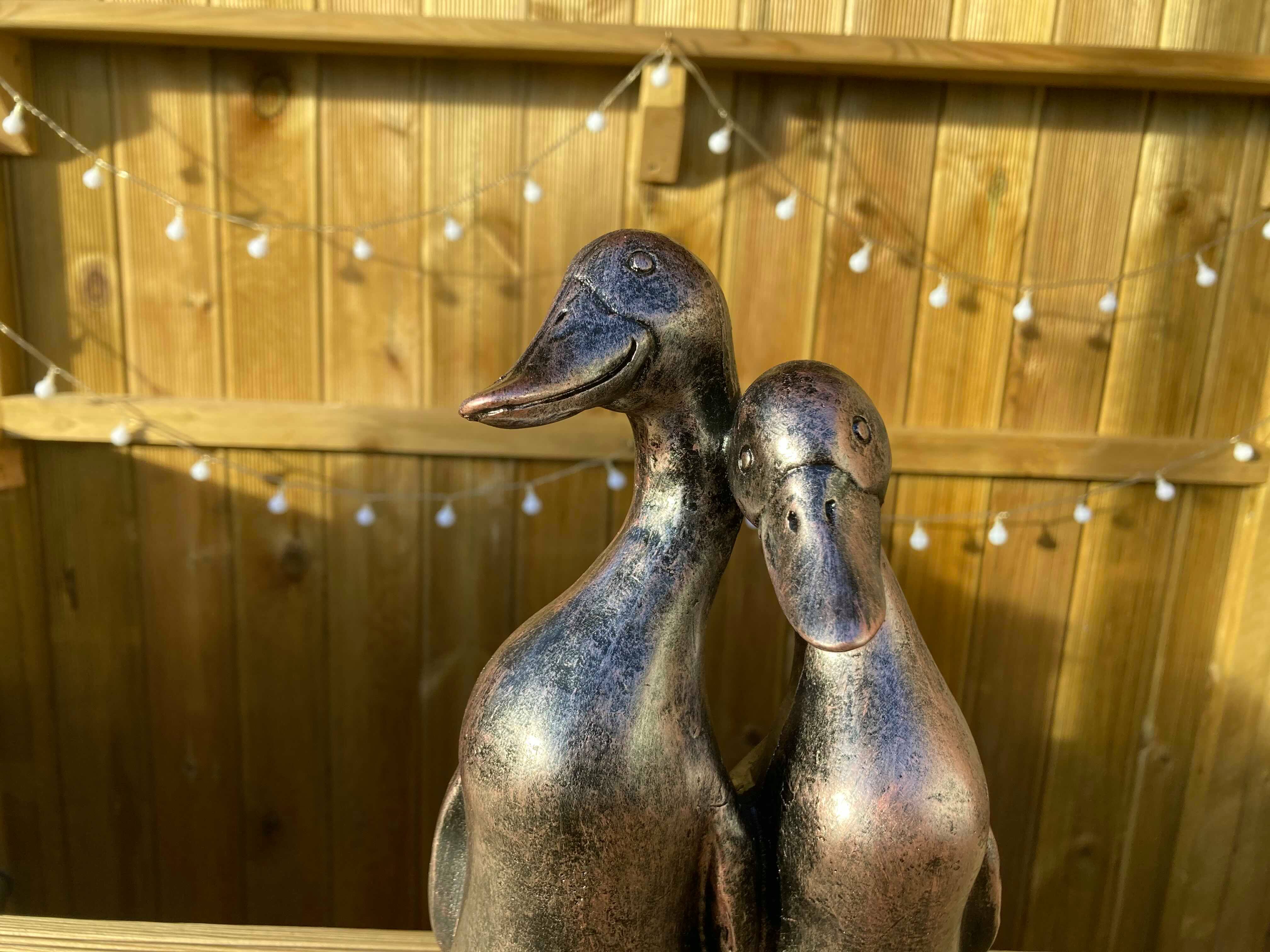 Pair of Ducks