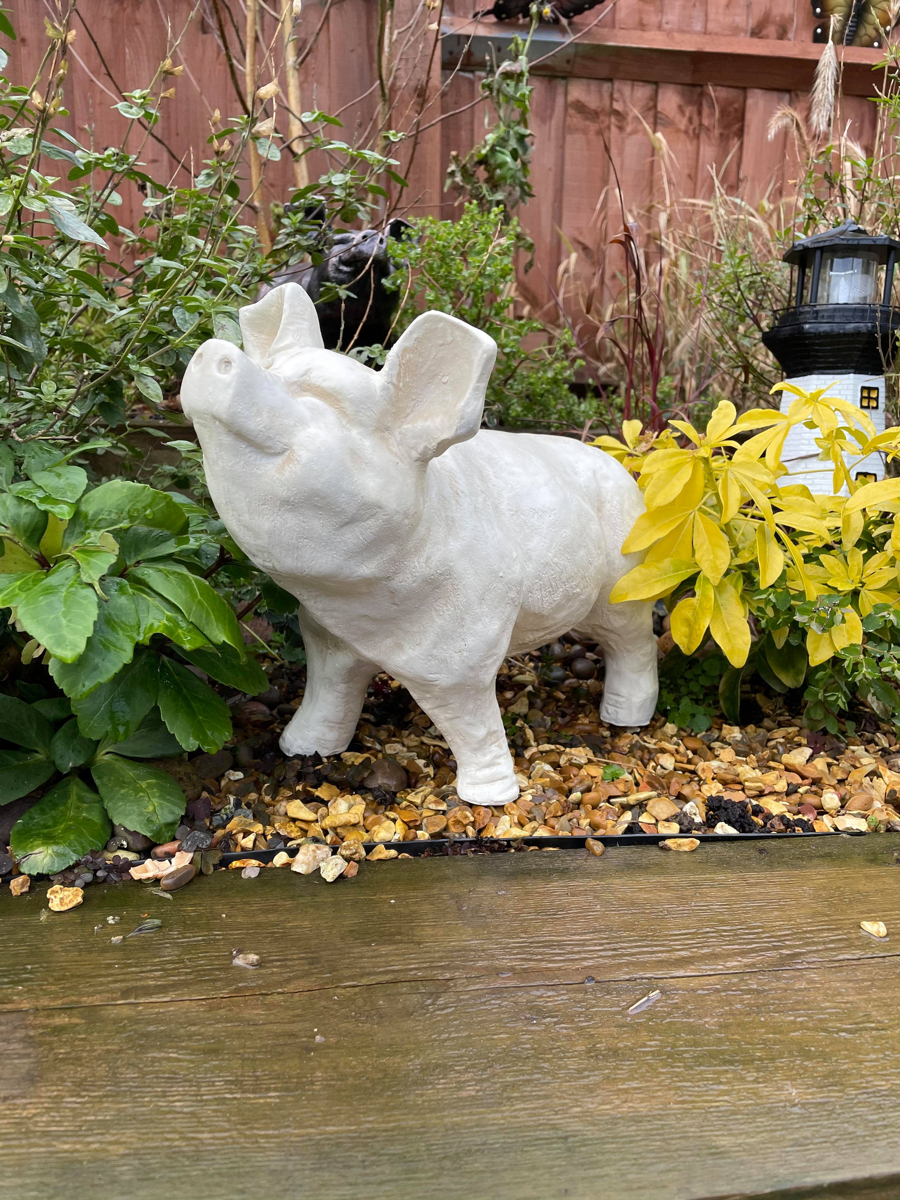 Happy Pig - White