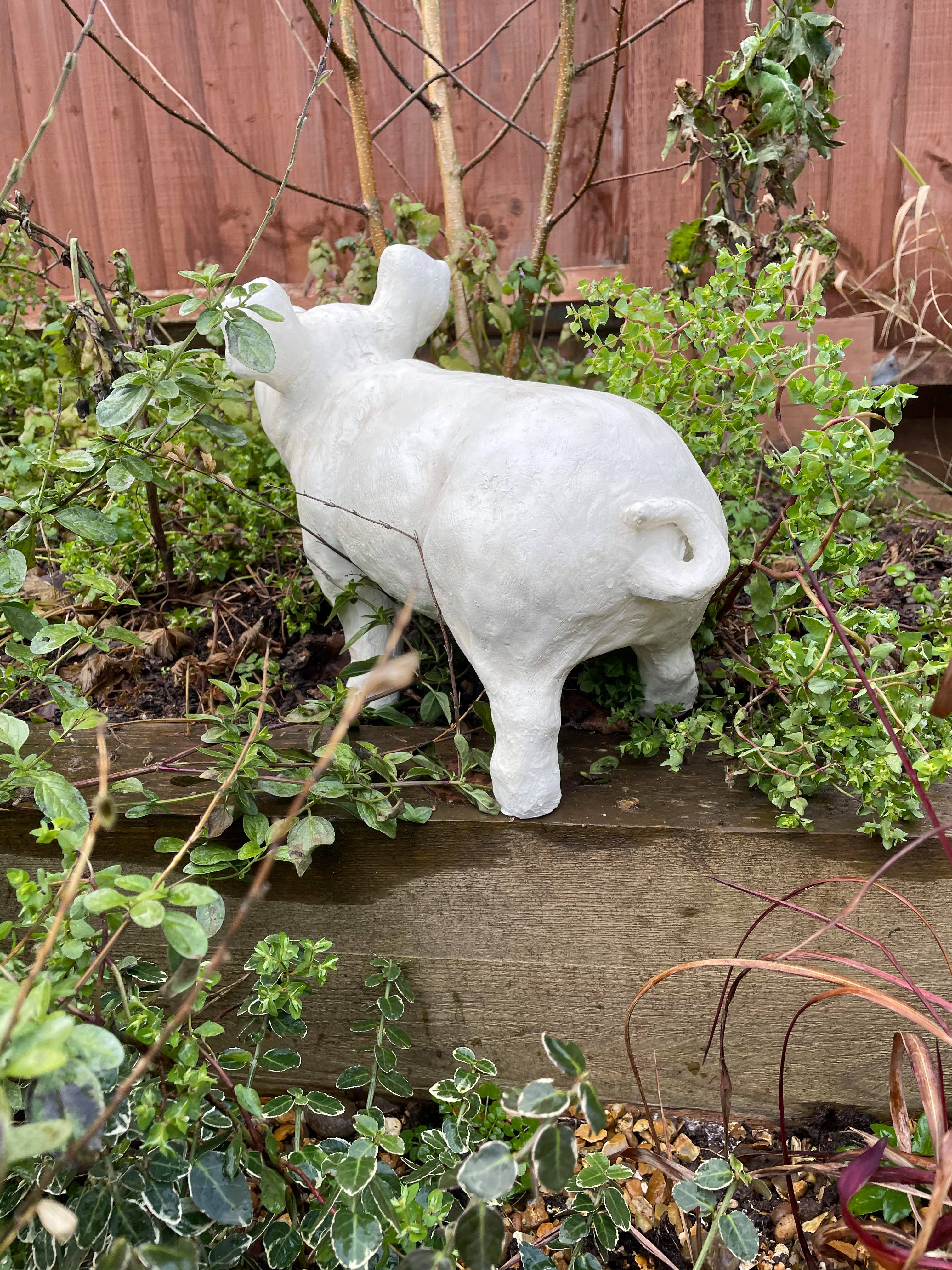 Happy Pig - White