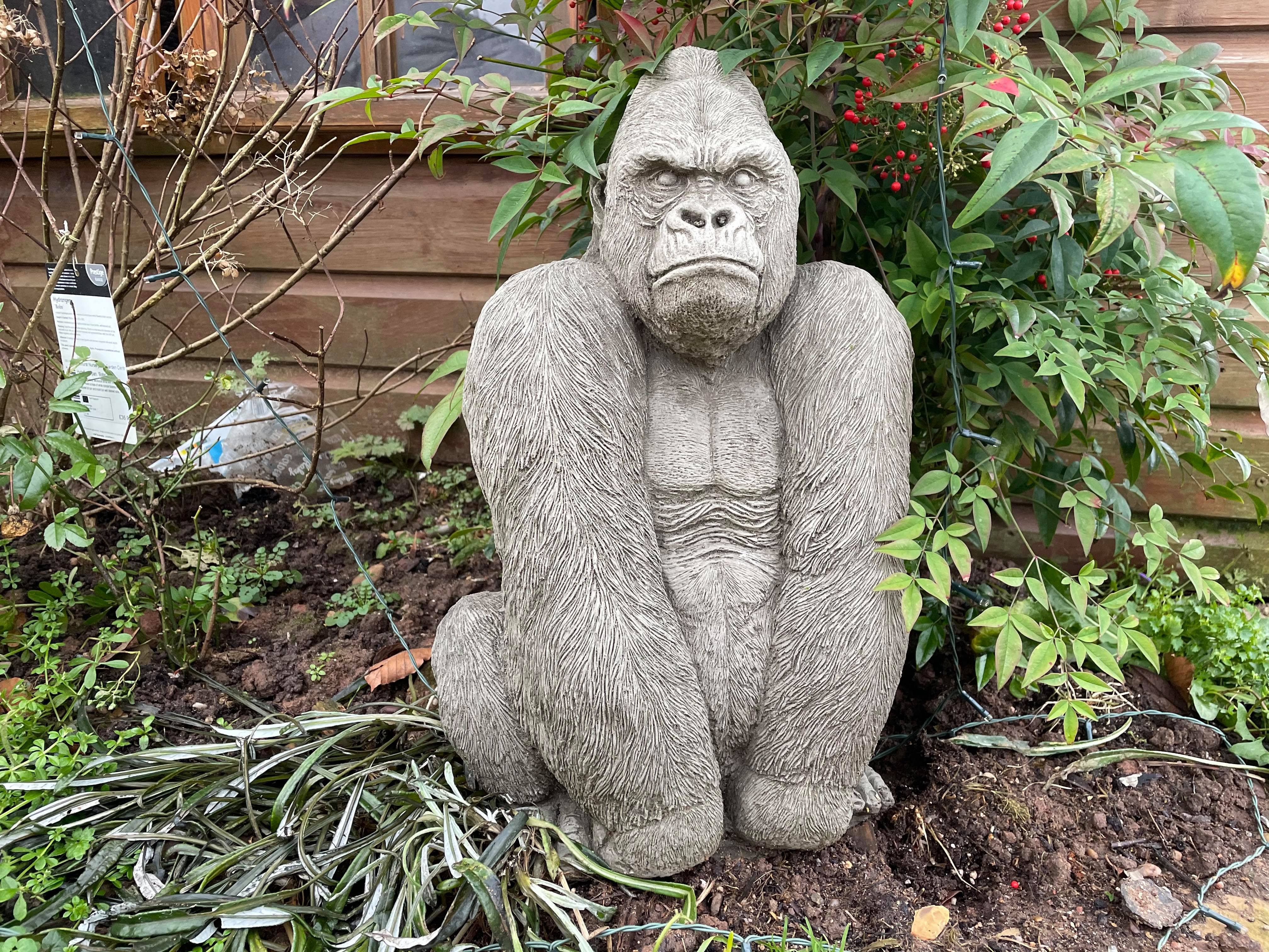 Gorilla Silver Back Male Ape Statue