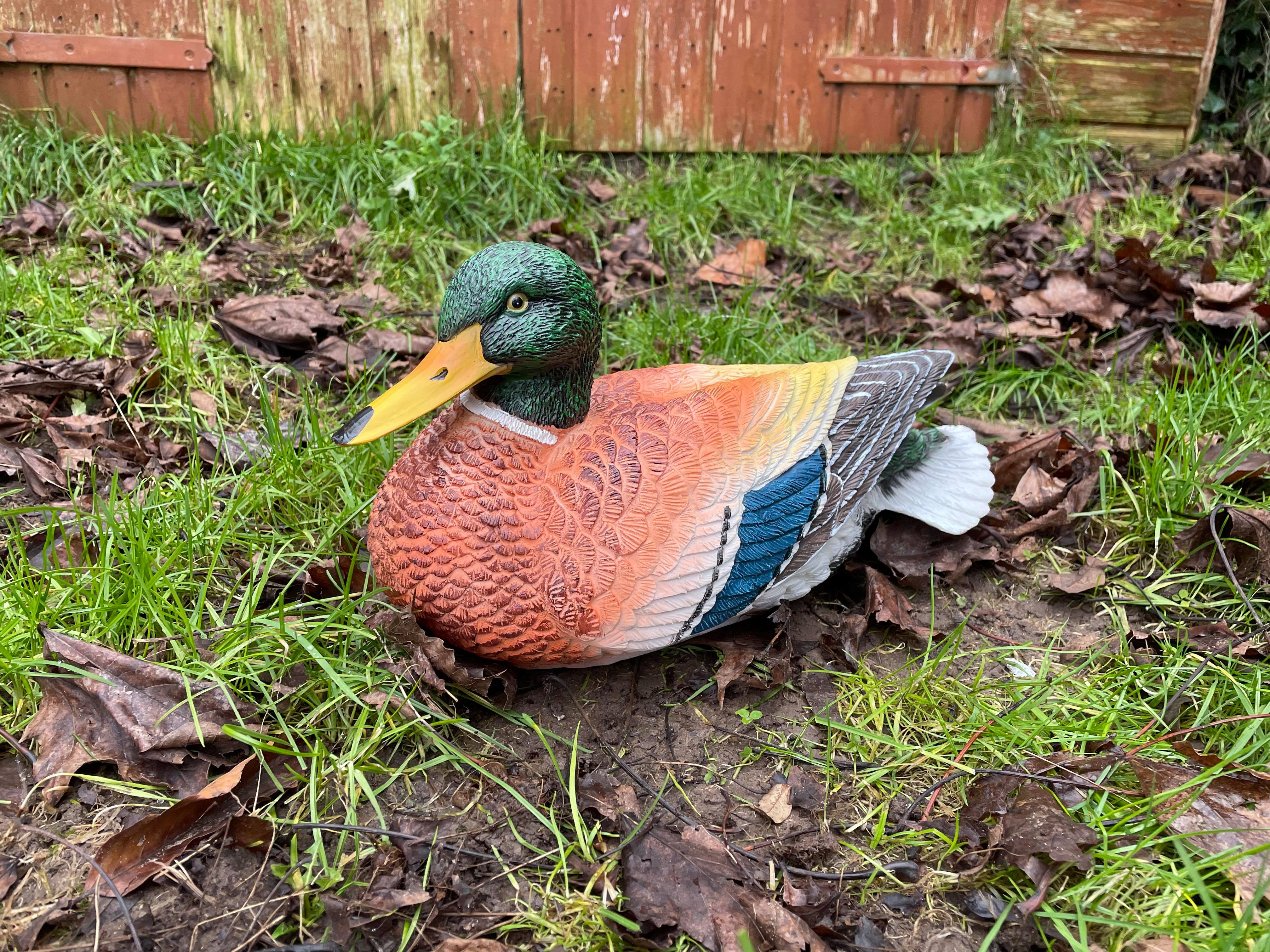 Content Duck