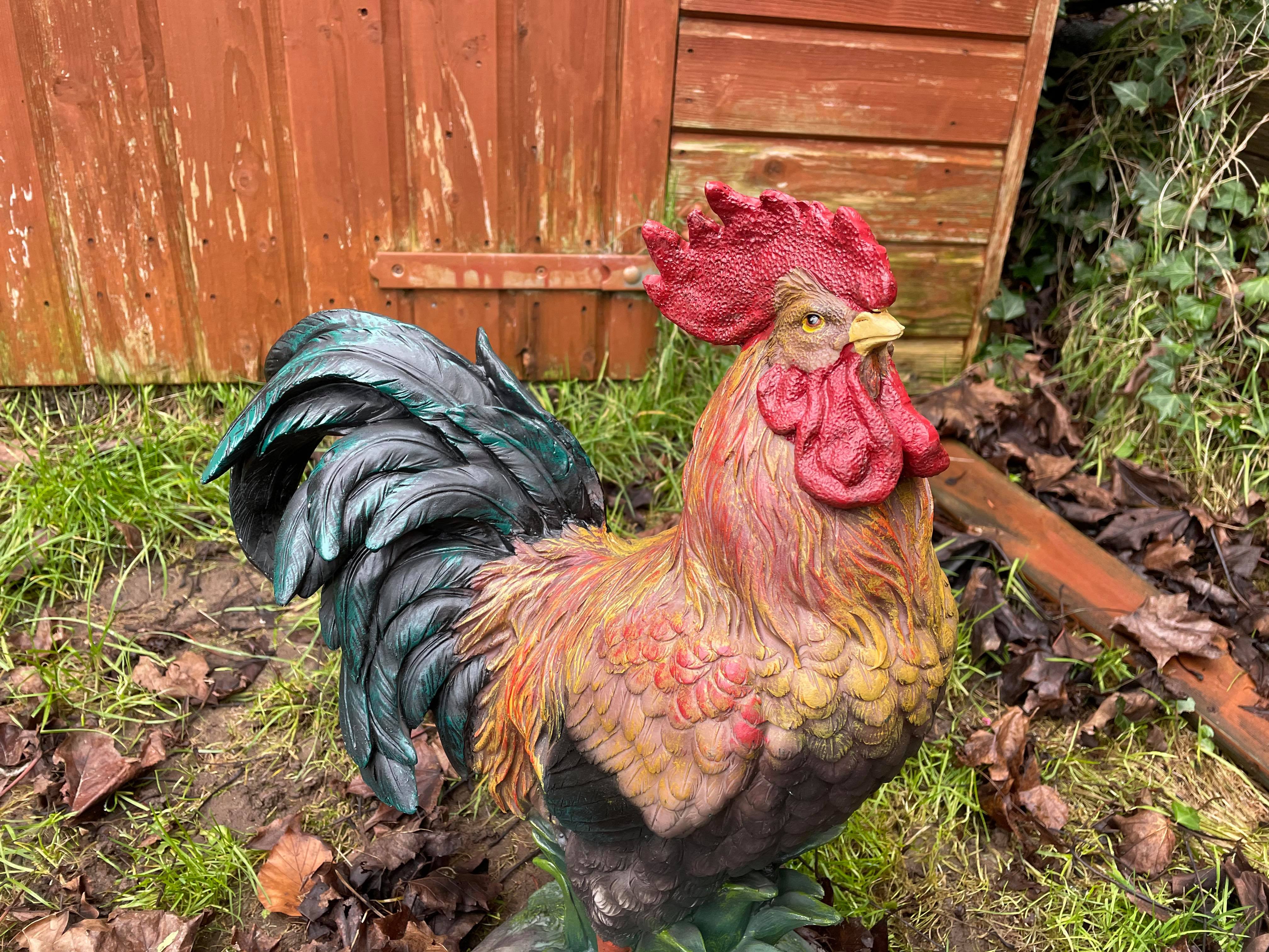 Rascally Rooster