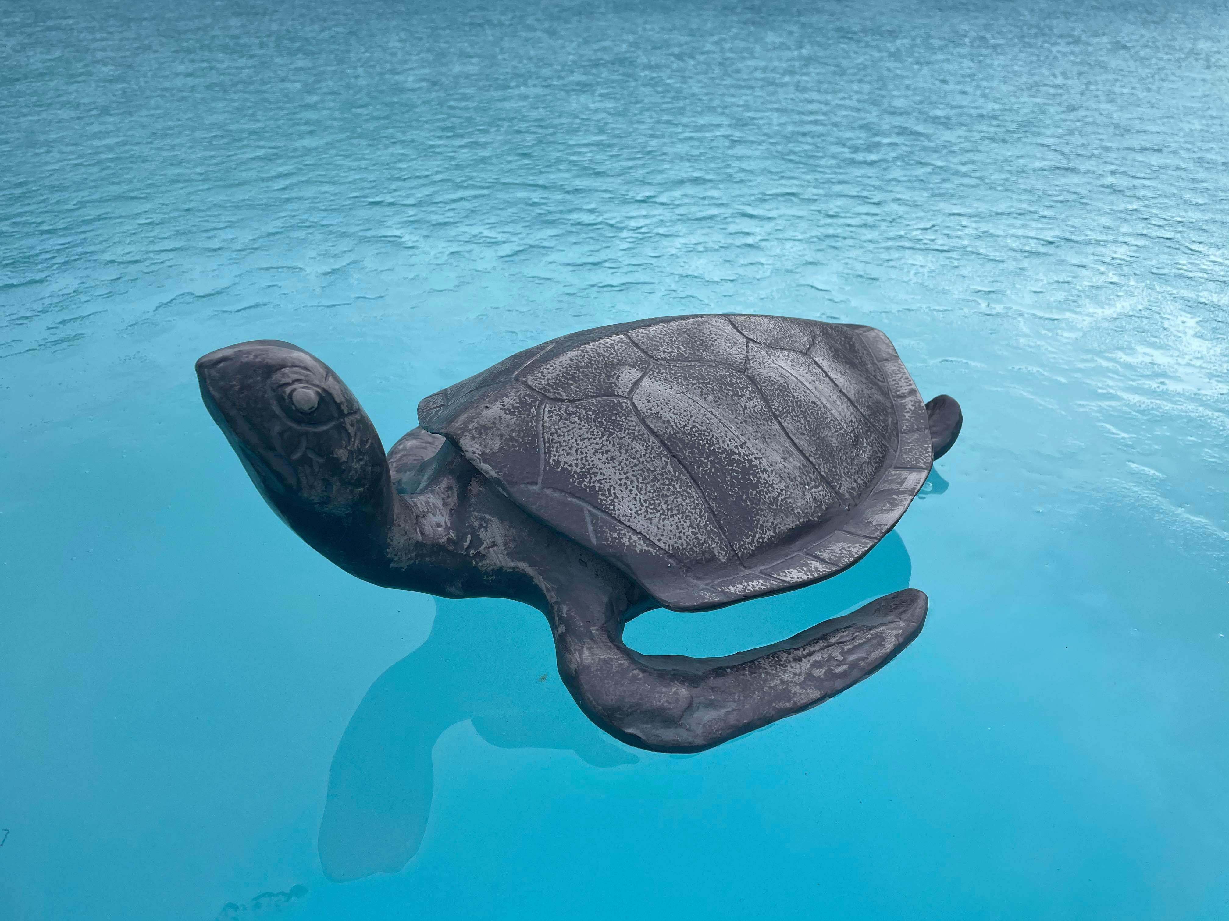 Aluminium Turtle