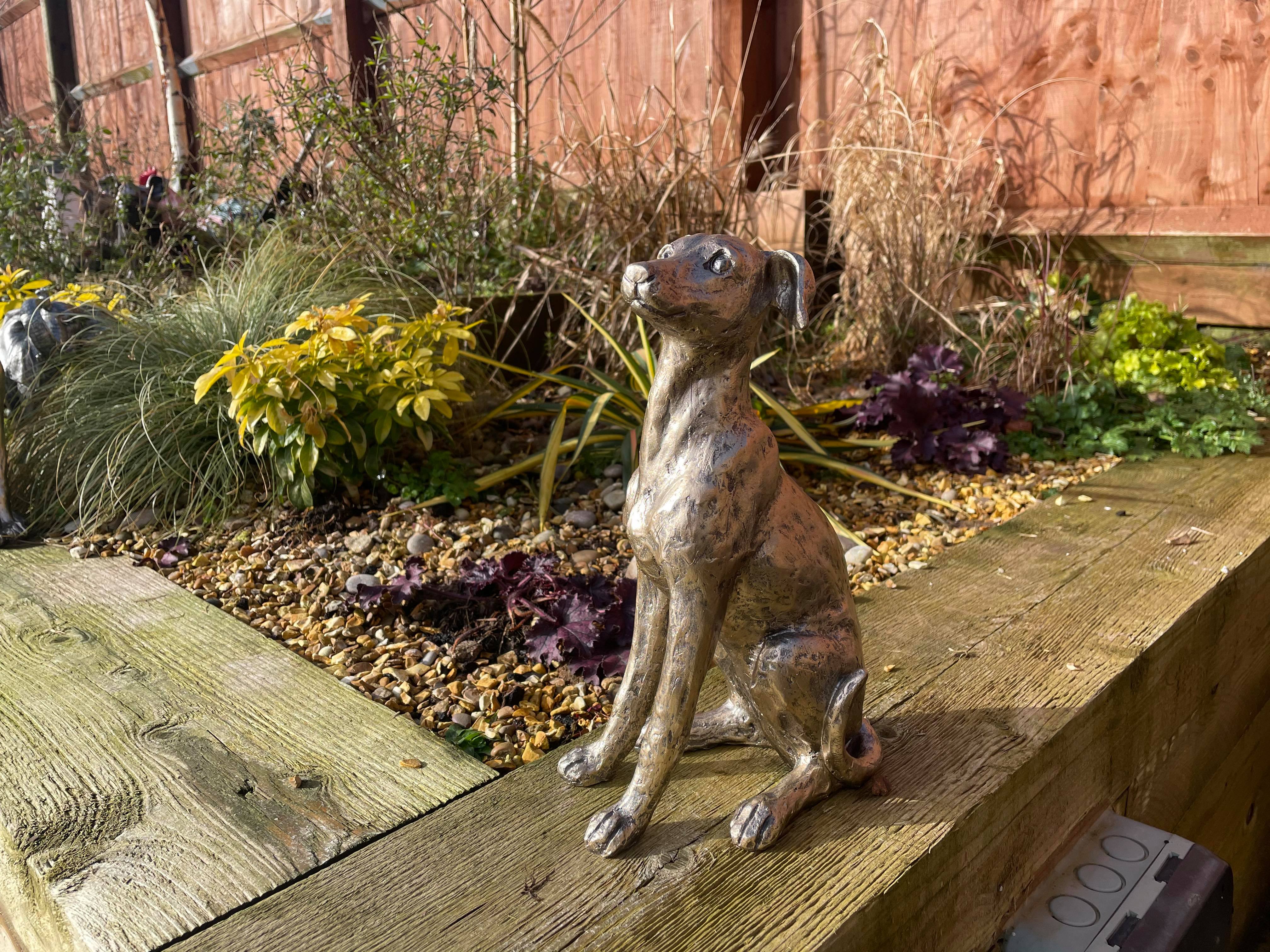 Regal Greyhounds