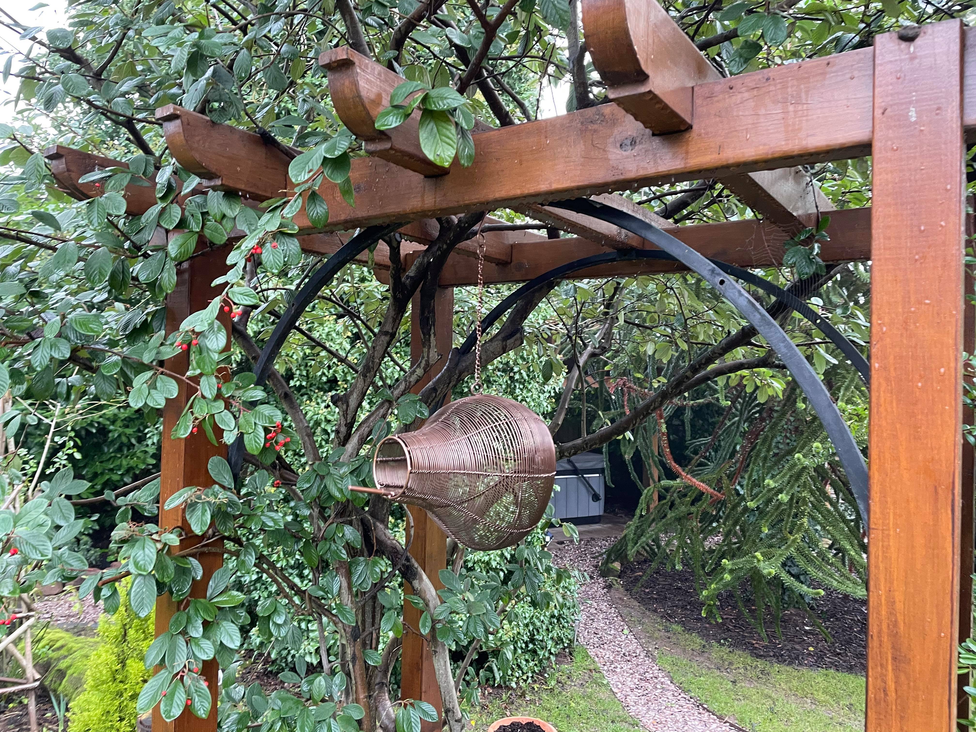 Modern Bird Feeder