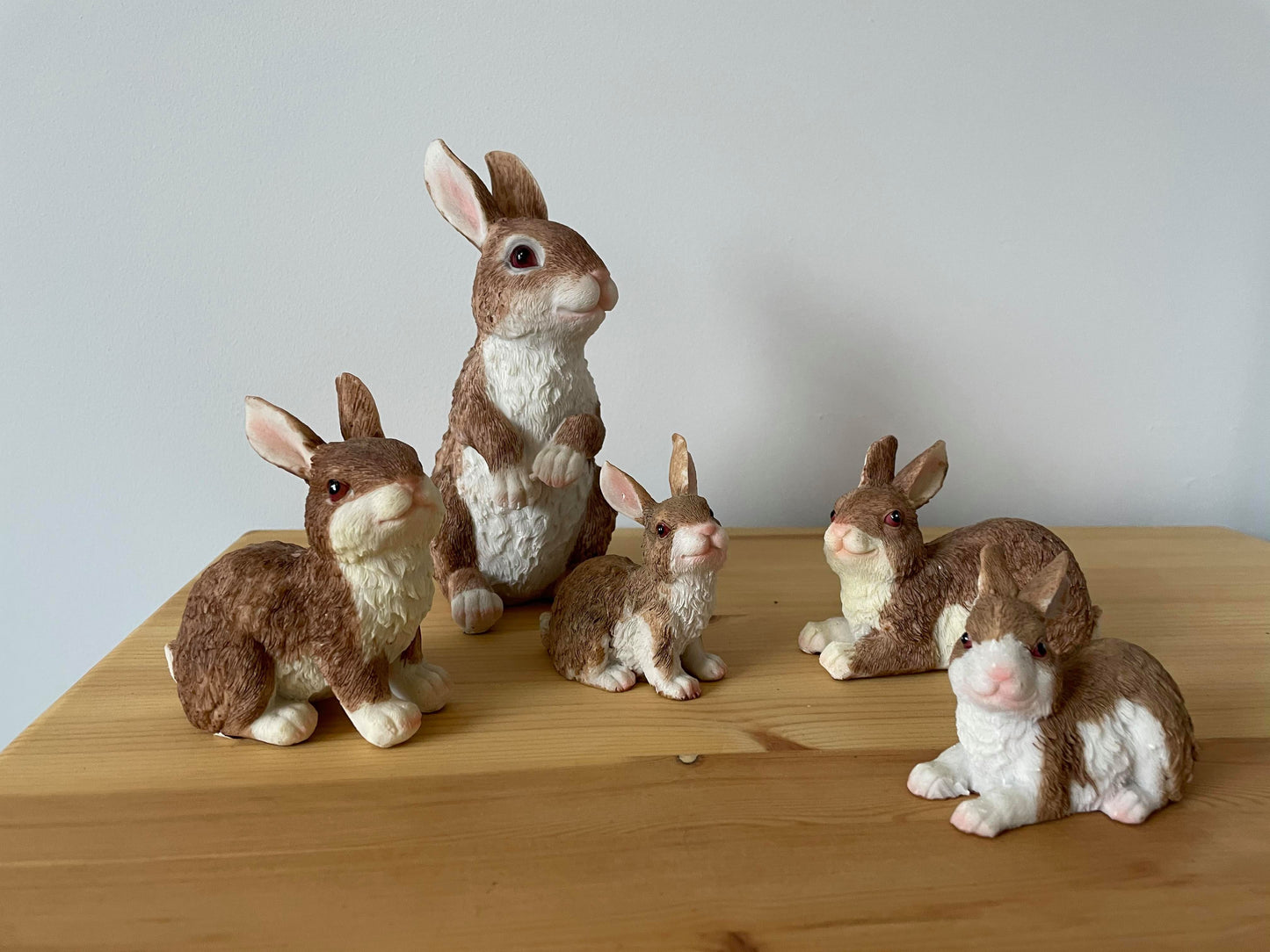 Rambunctious Rabbit Family