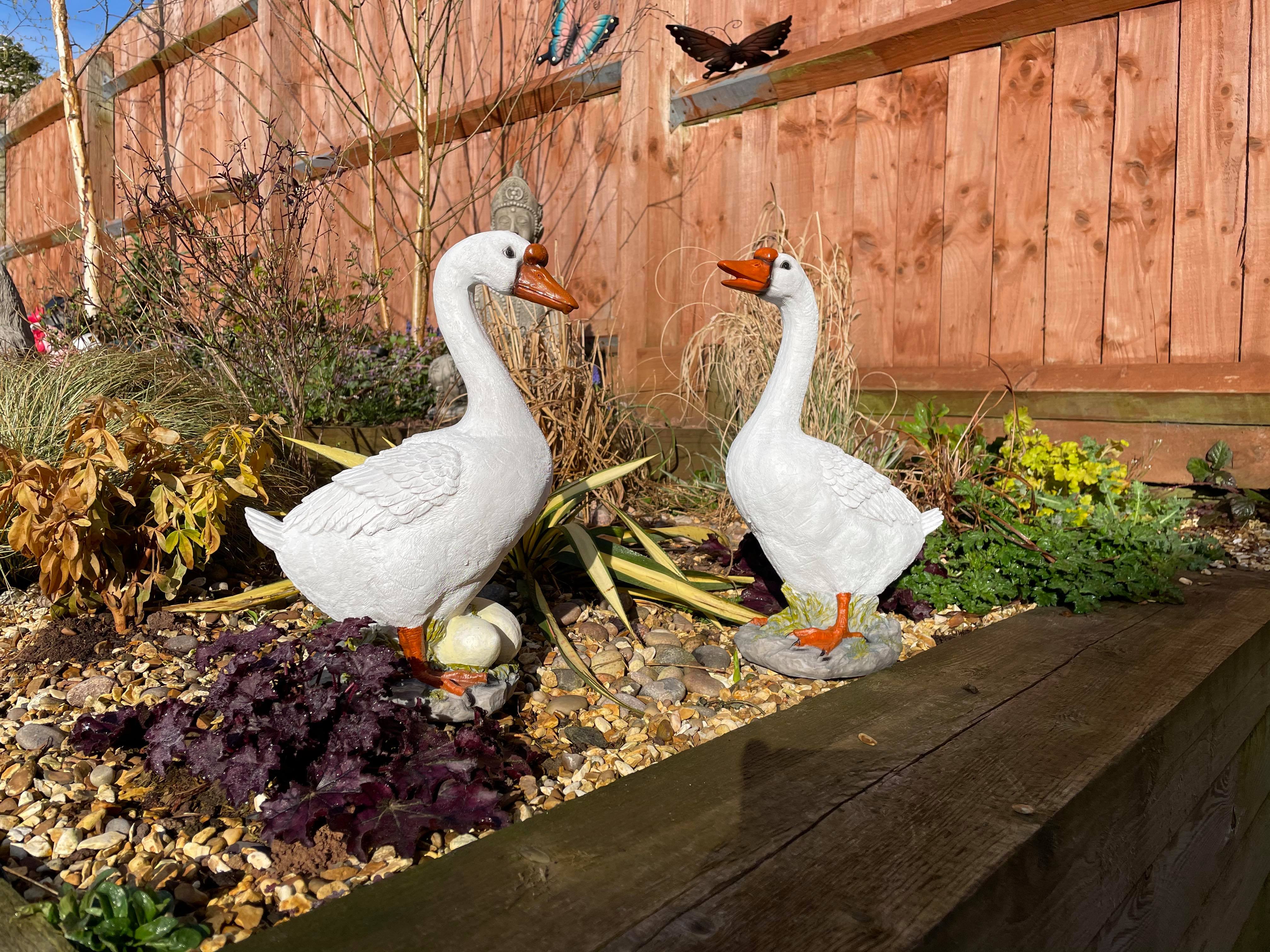 Graceful Geese Pair