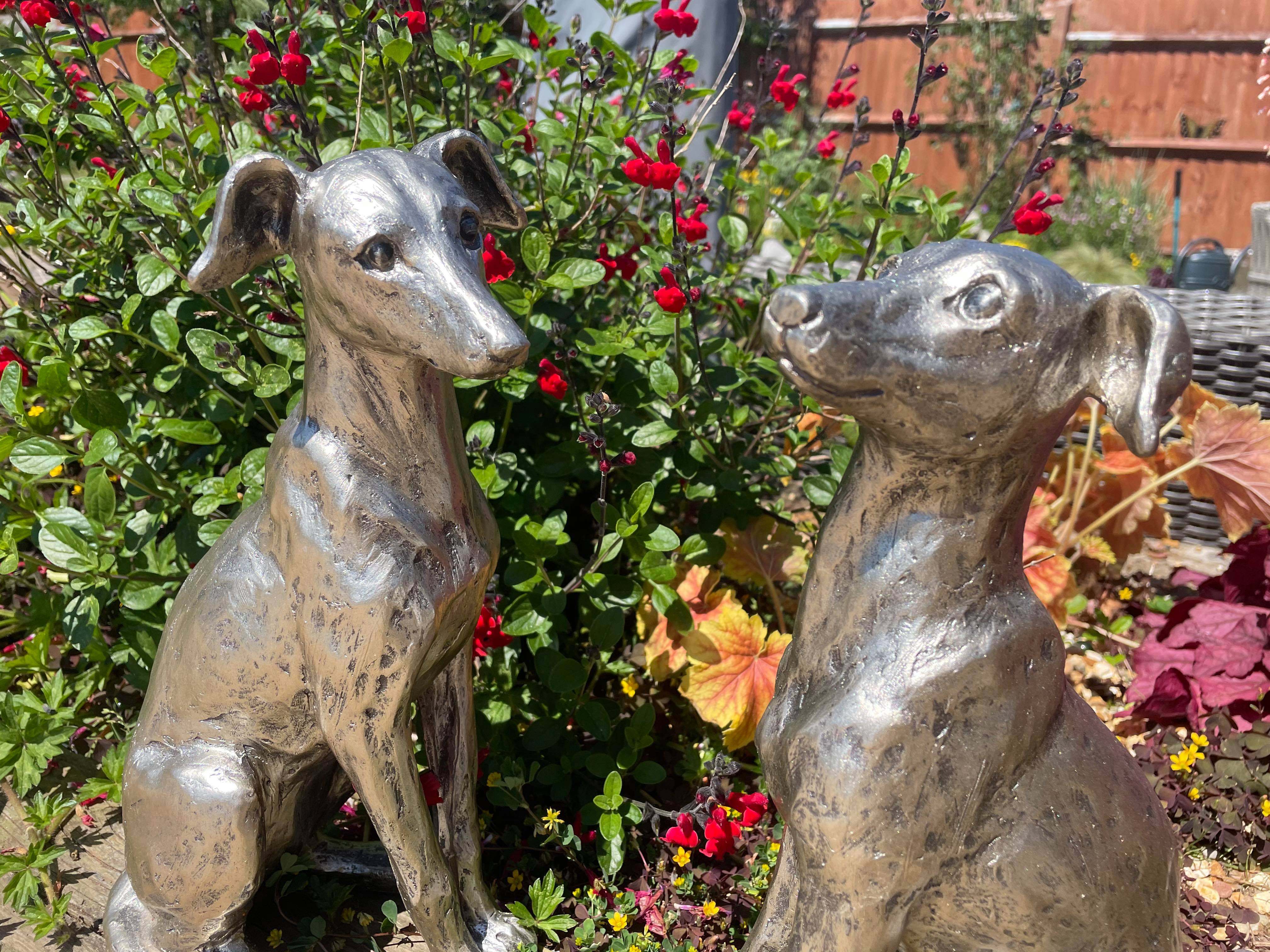 Regal Greyhounds