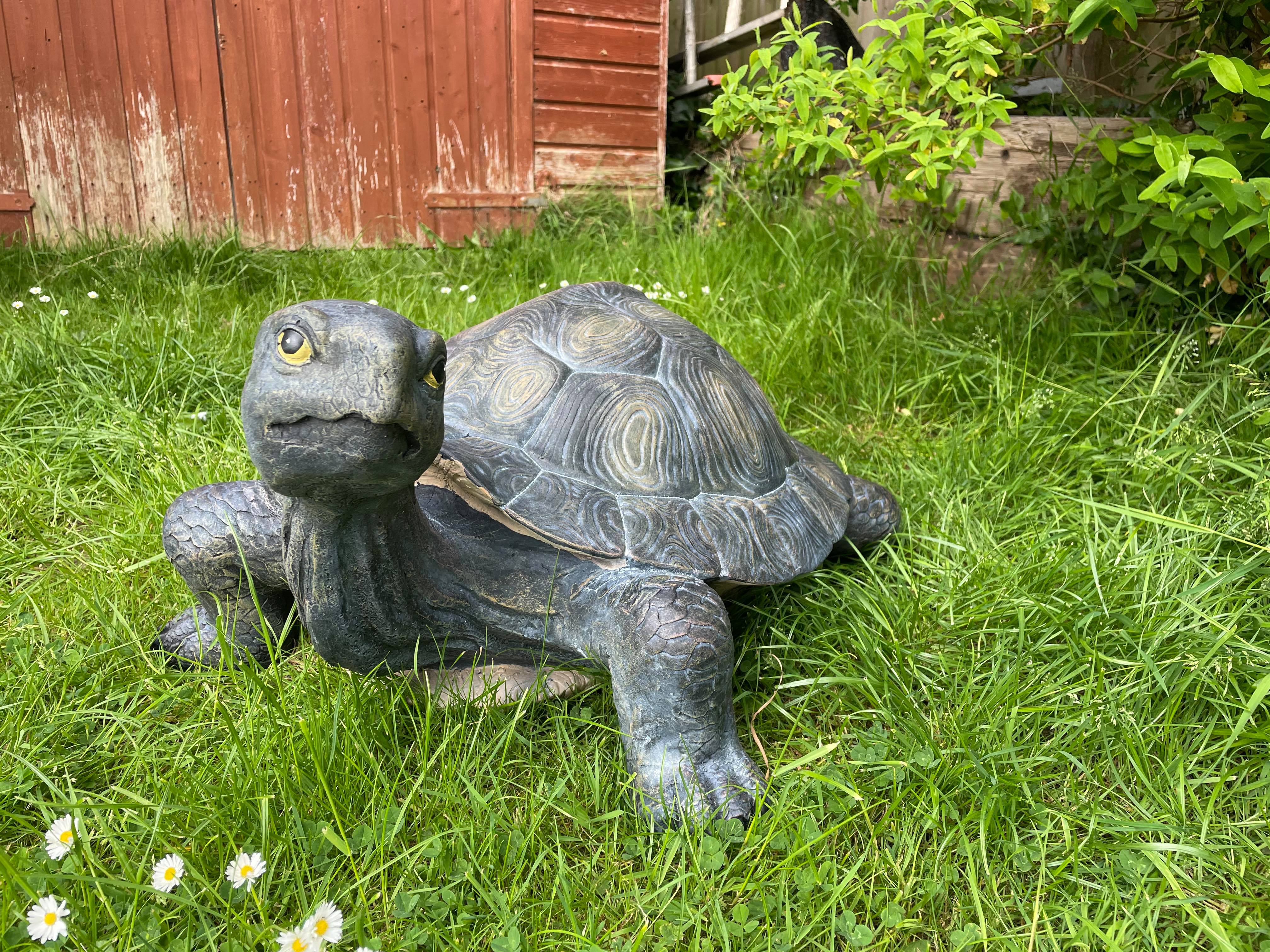 Maximus the Giant Tortoise