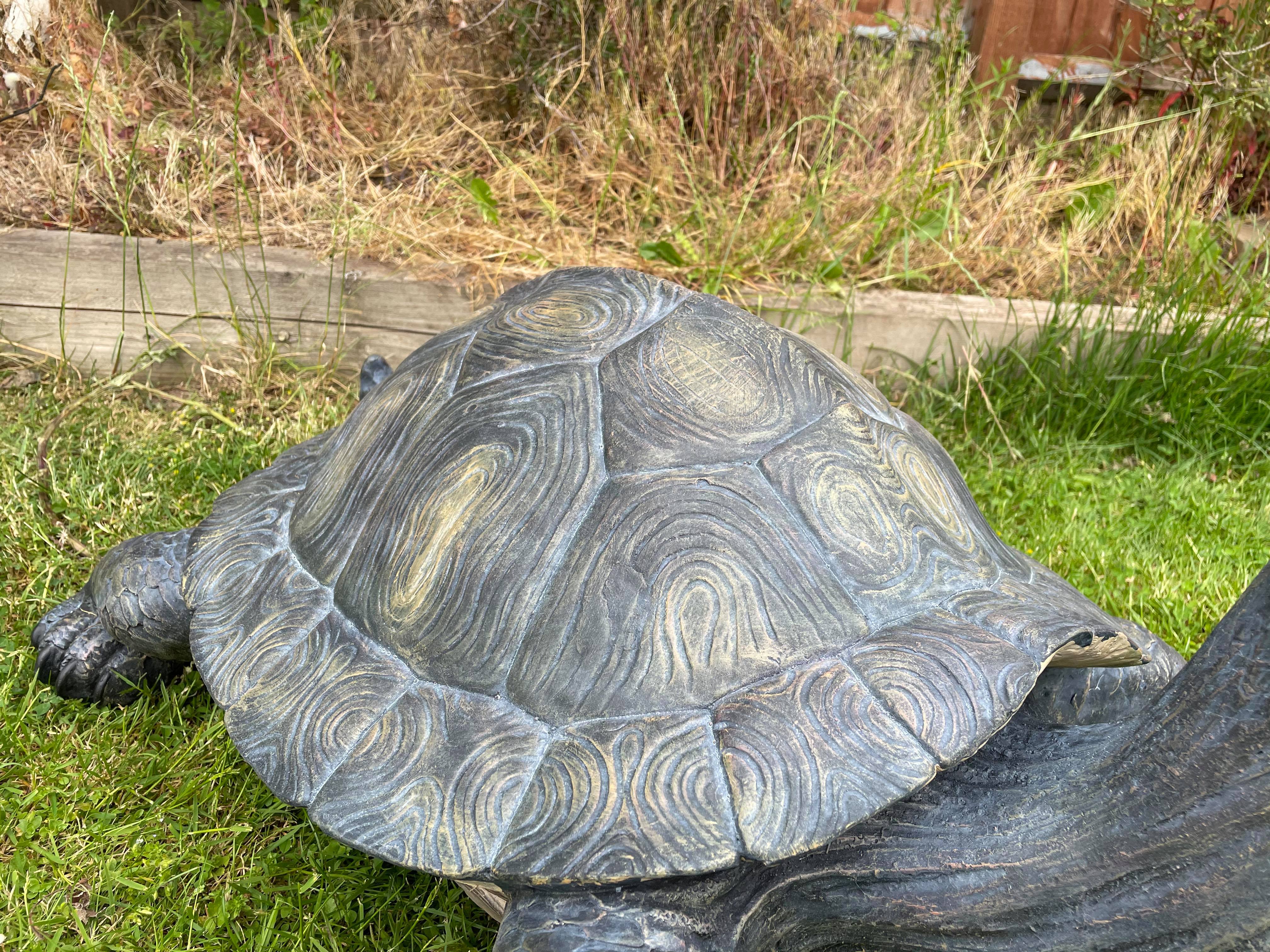 Maximus the Giant Tortoise