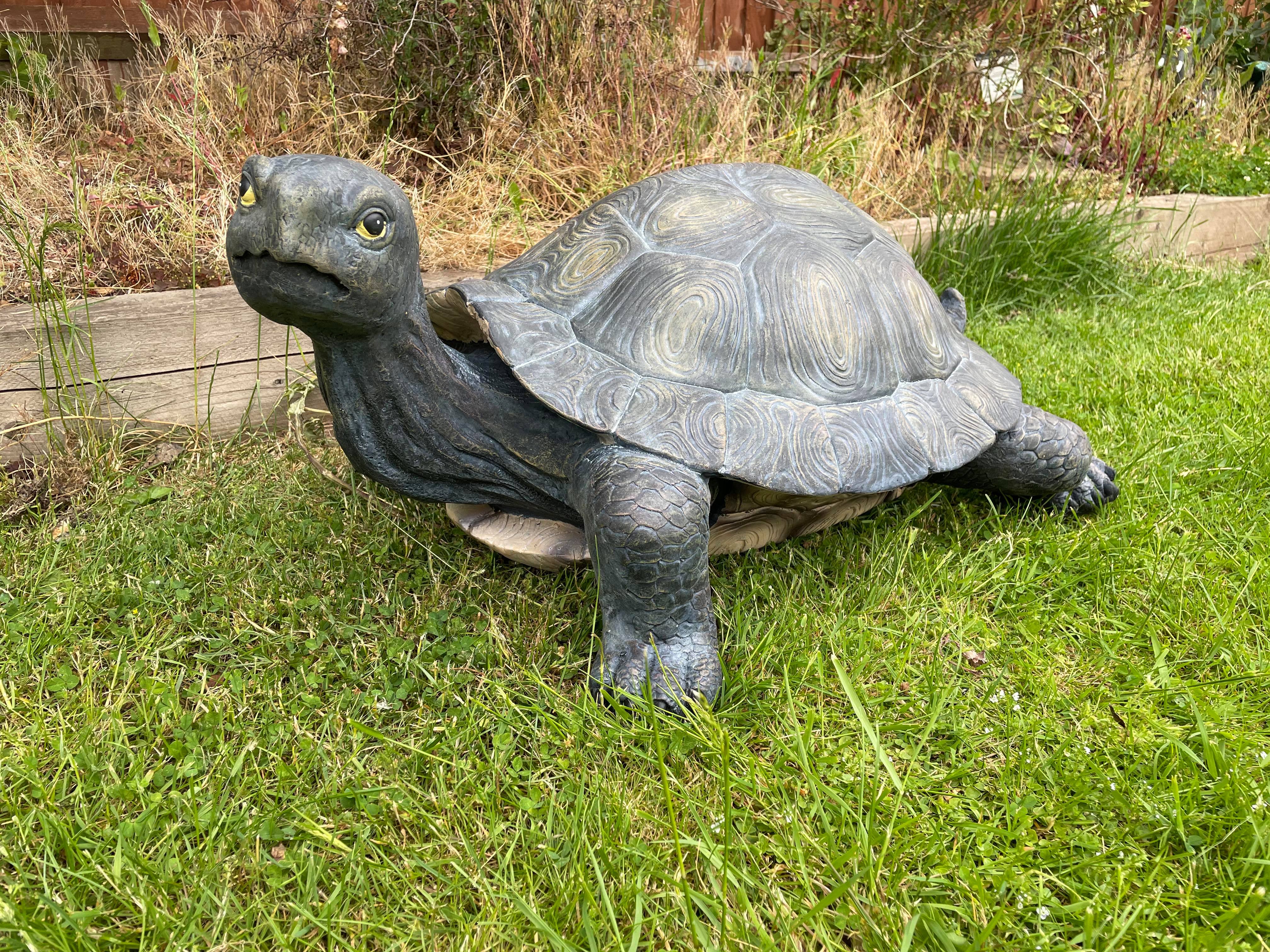 Maximus the Giant Tortoise