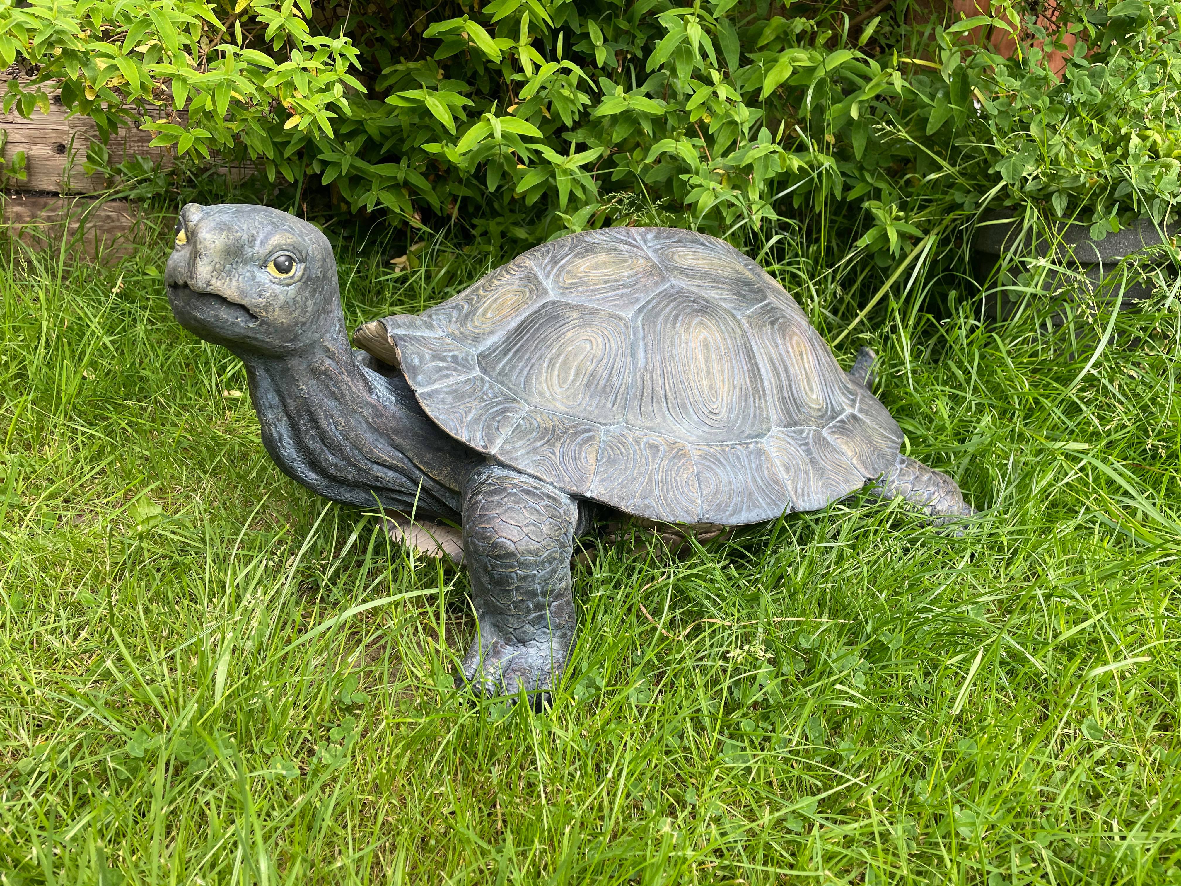 Maximus the Giant Tortoise