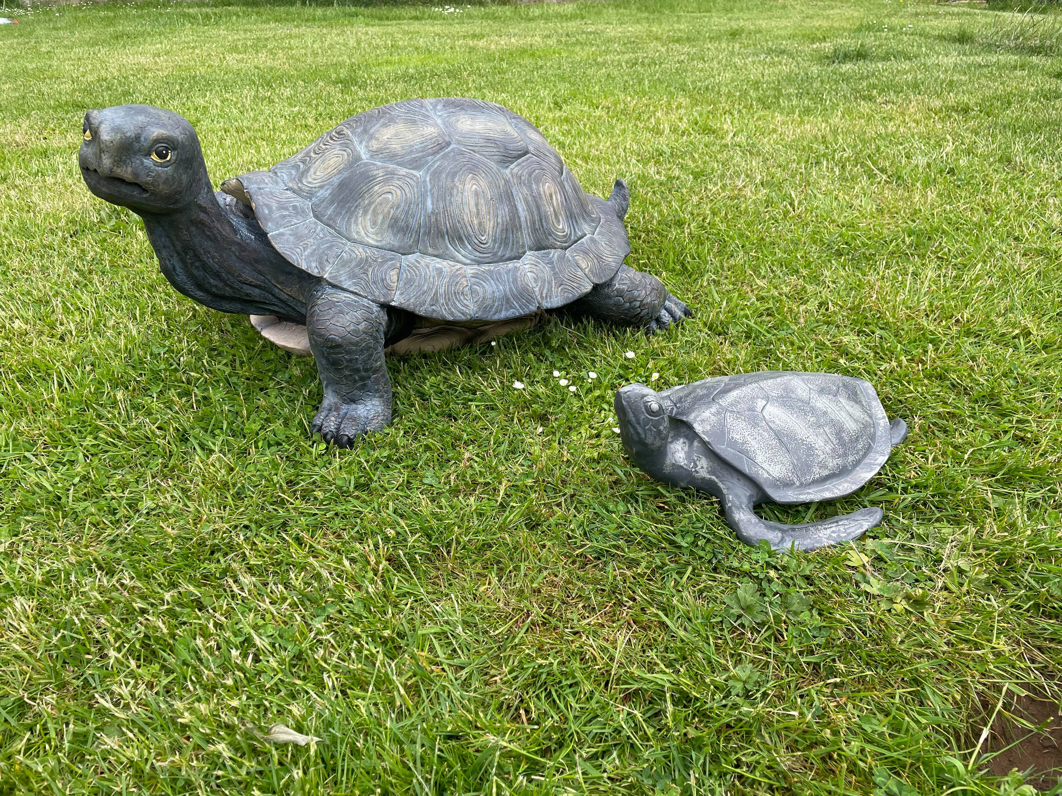 Maximus the Giant Tortoise