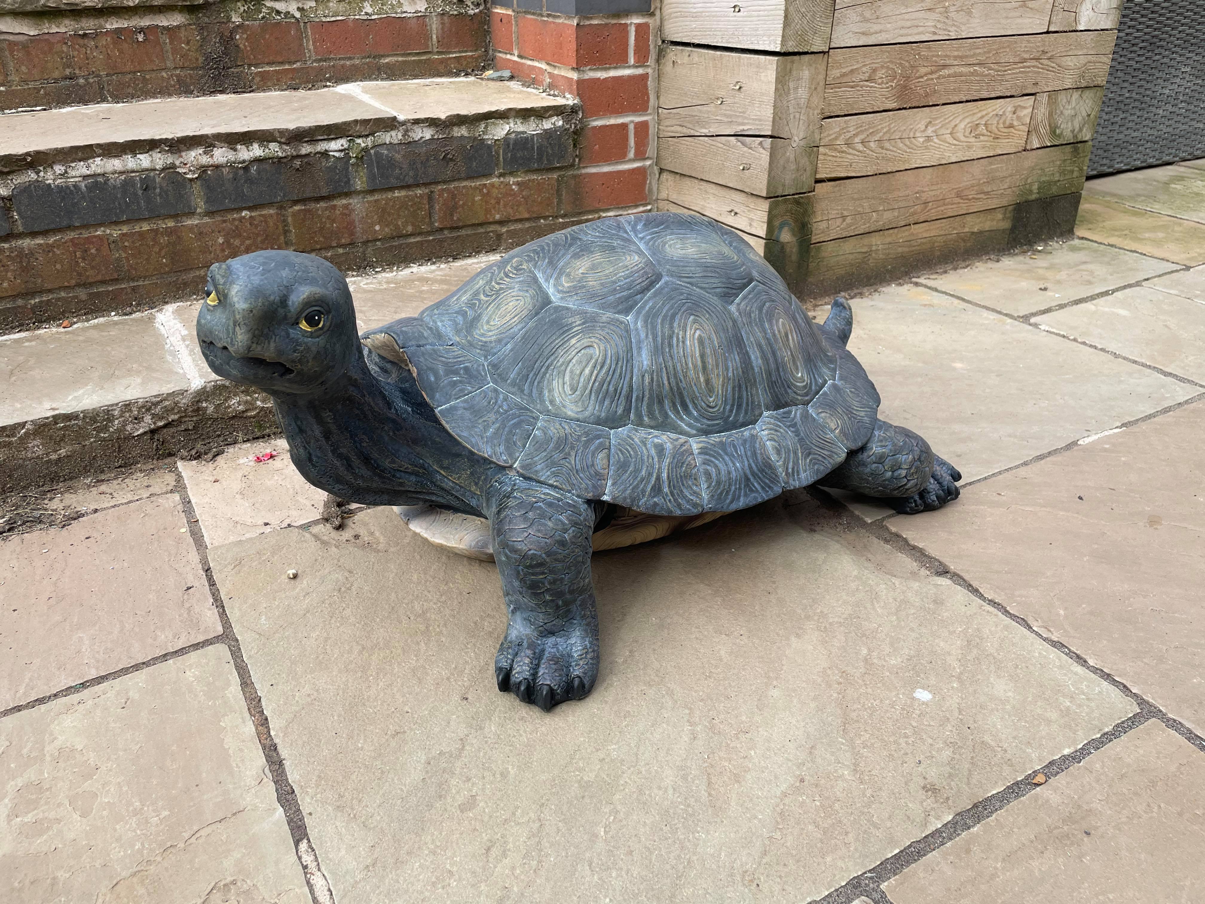 Maximus the Giant Tortoise