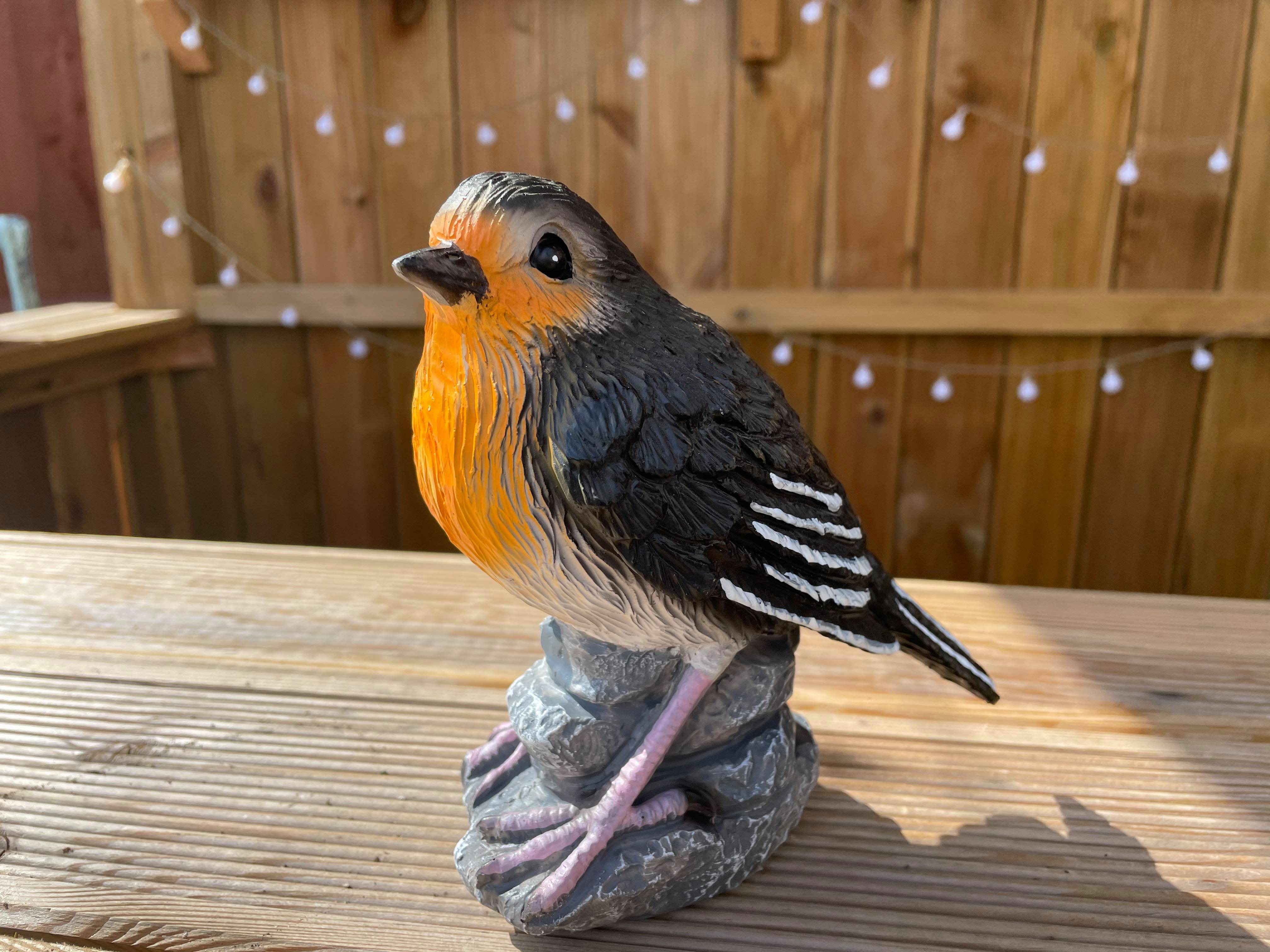 Radiant Robins