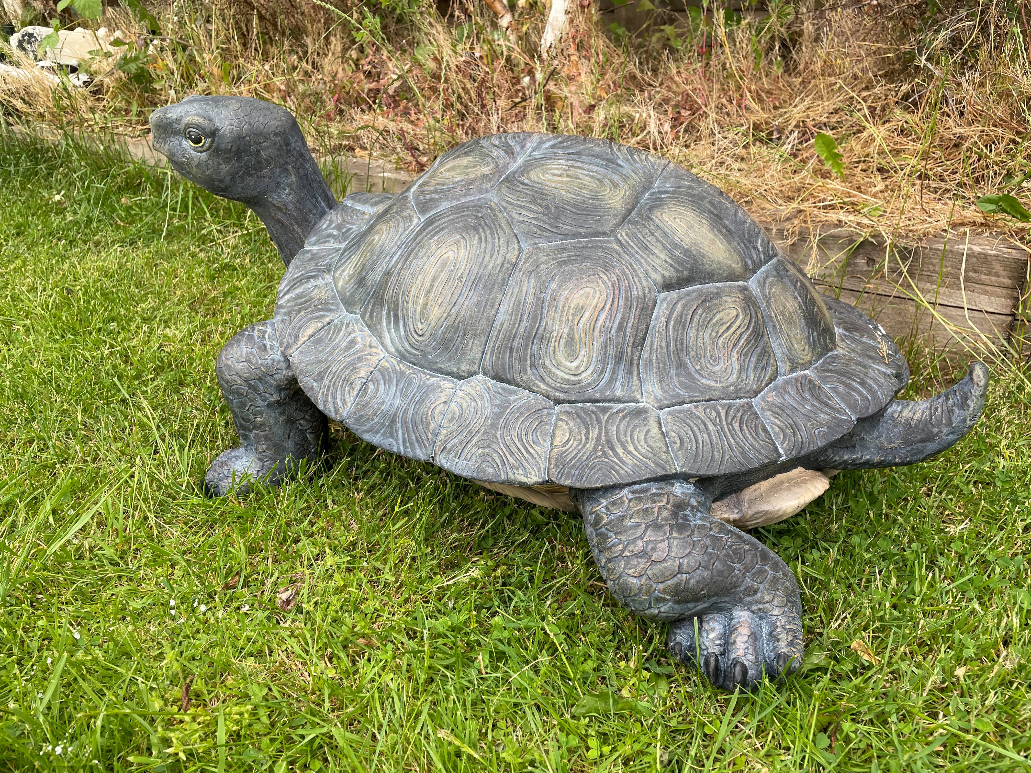 Maximus the Giant Tortoise