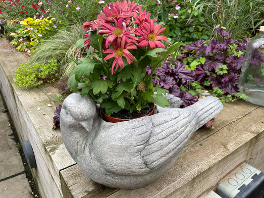 Grey Dove Planter
