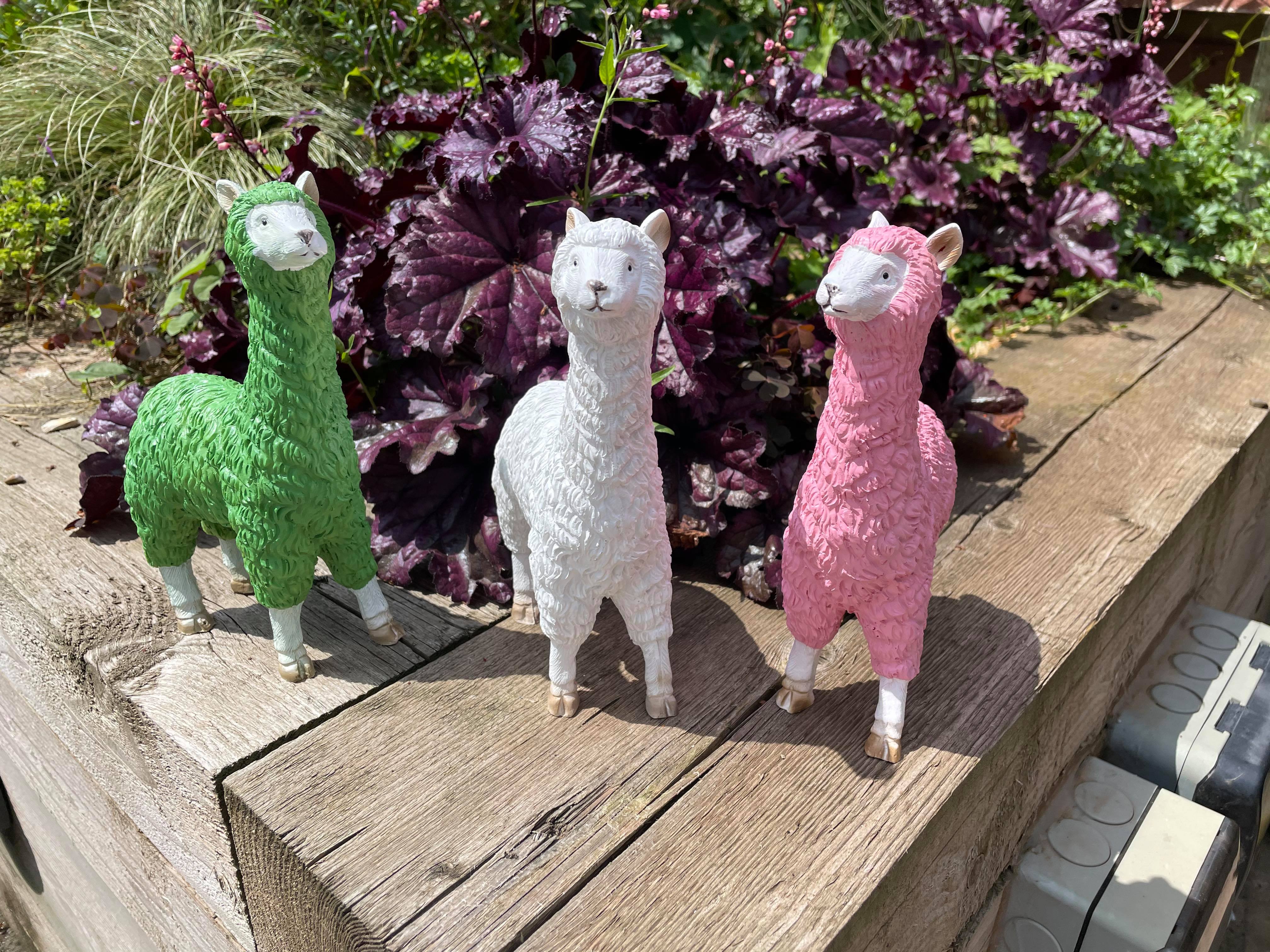 Three Funky Llamas
