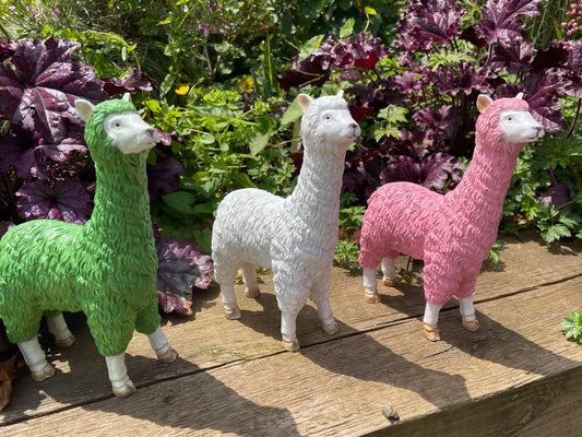 Three Funky Llamas