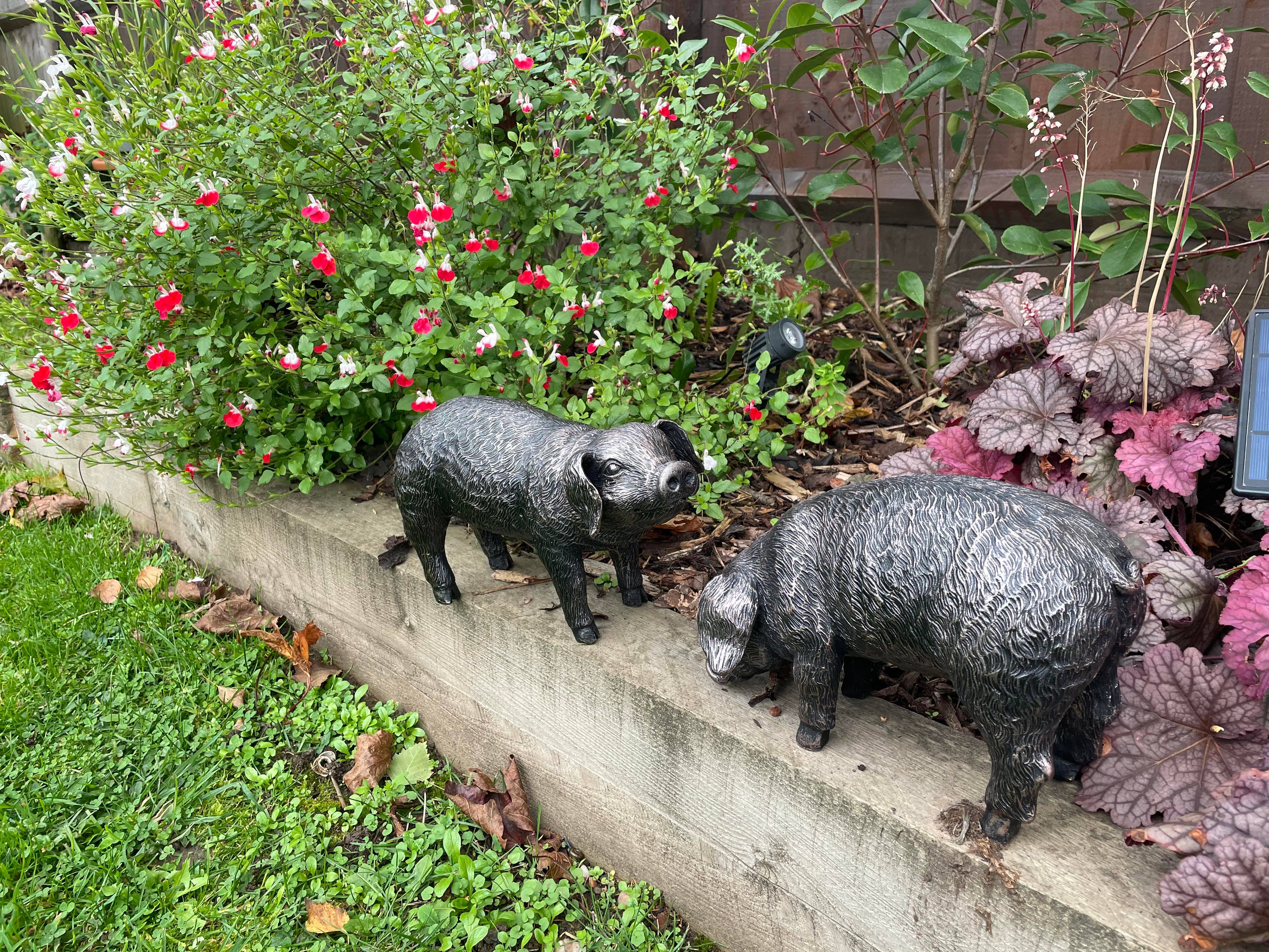 Pair of Bronze Pigs