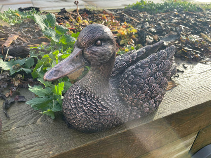 Pair of Bronze Ducks