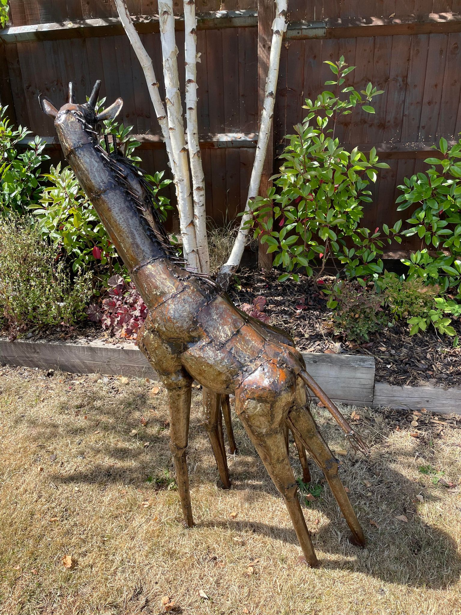 Large Metal Preening Giraffe's