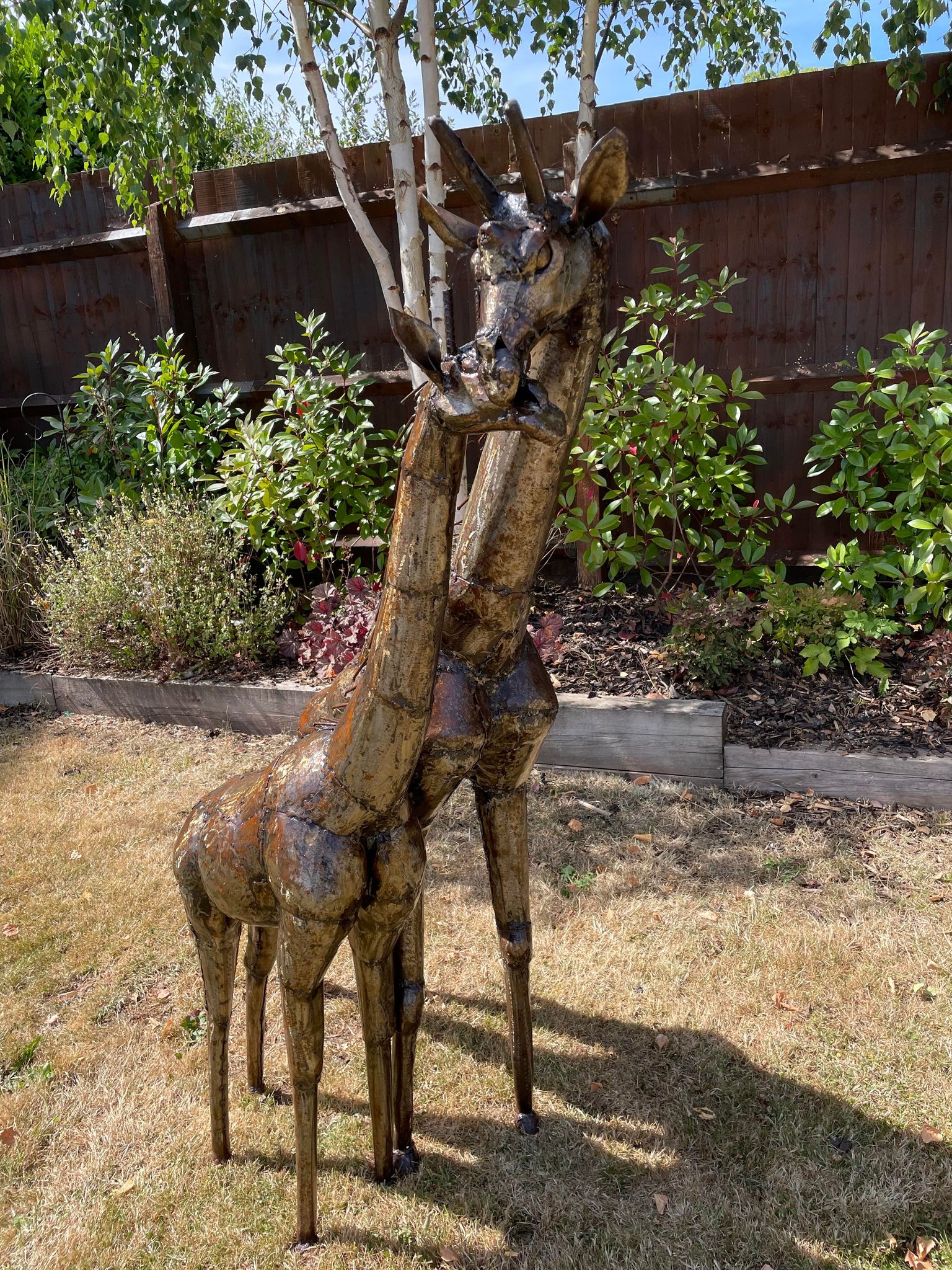 Large Metal Preening Giraffe's