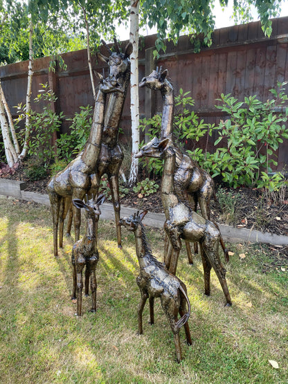 Gorgeous Giraffe Family Metal Set