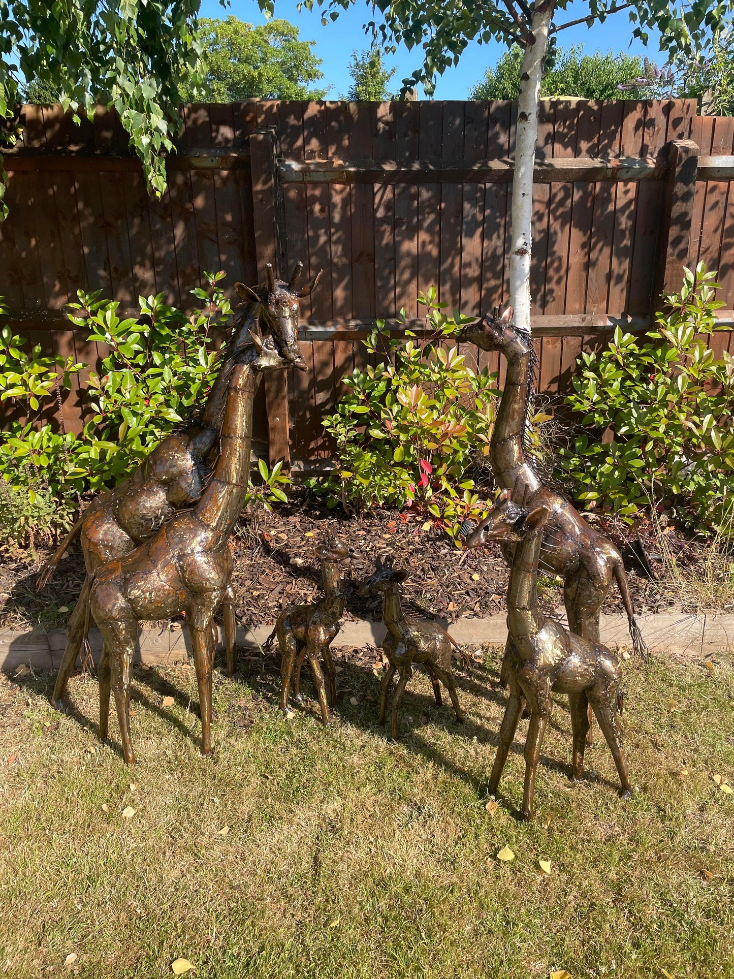Gorgeous Giraffe Family Metal Set