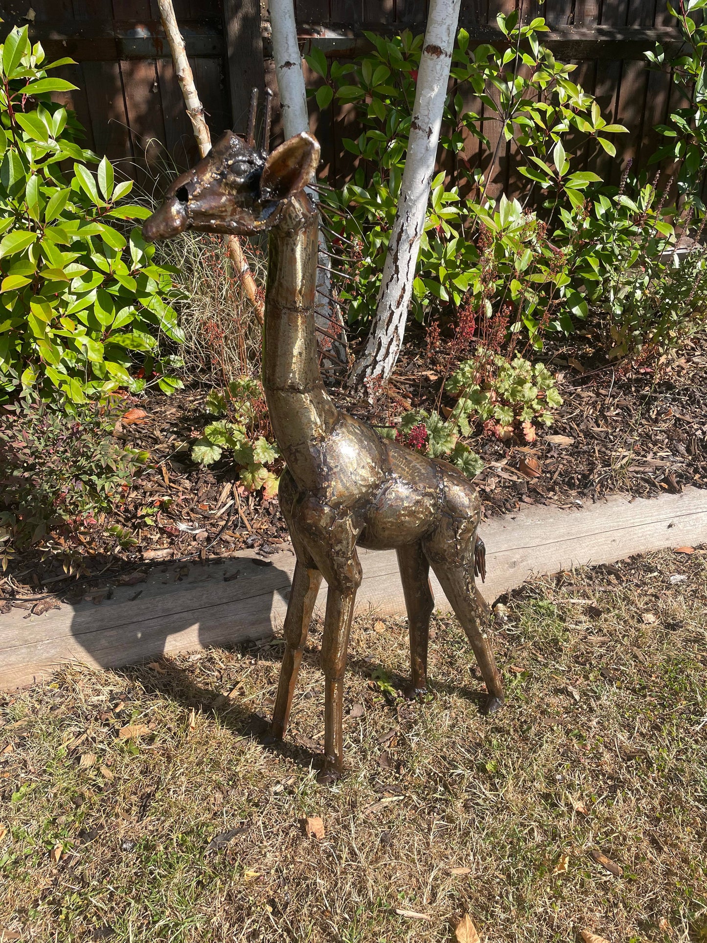 Gorgeous Giraffe Family Metal Set